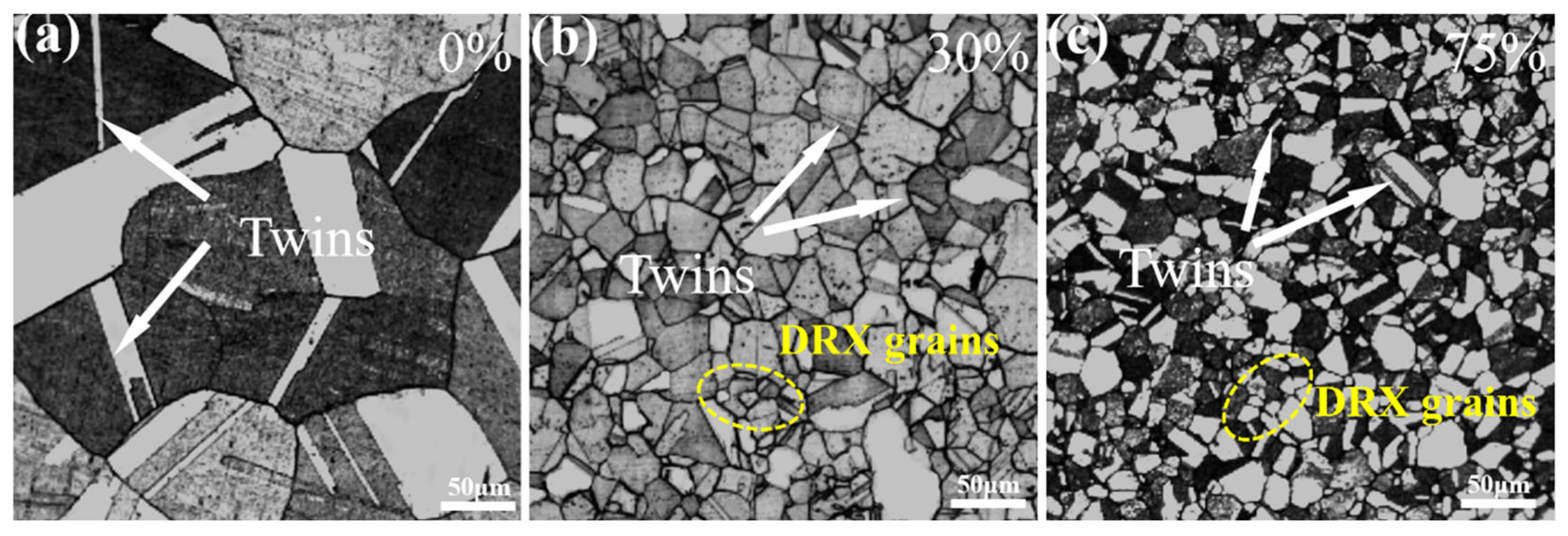 Materials 18 00839 g001