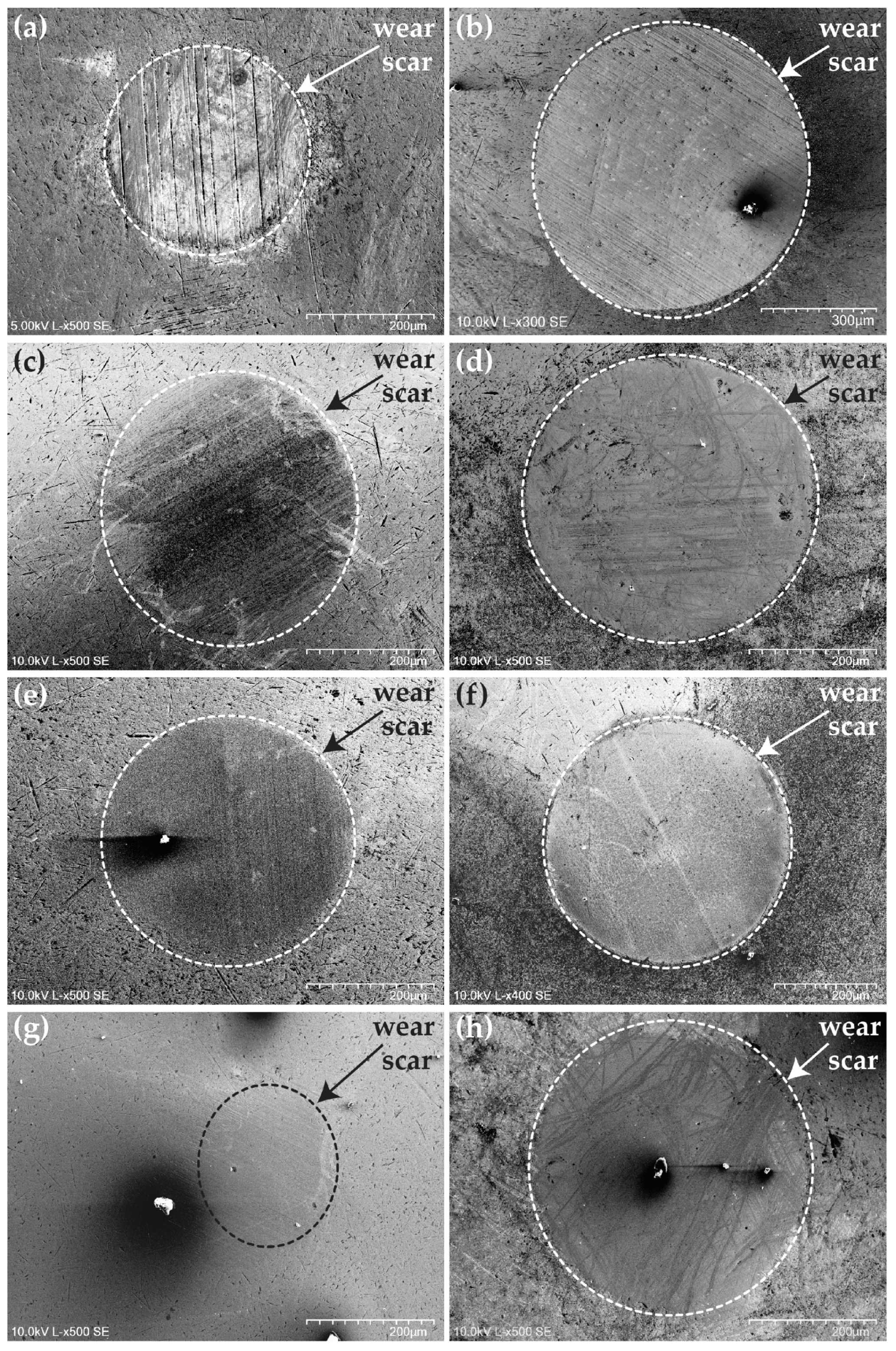 Materials 18 00847 g018