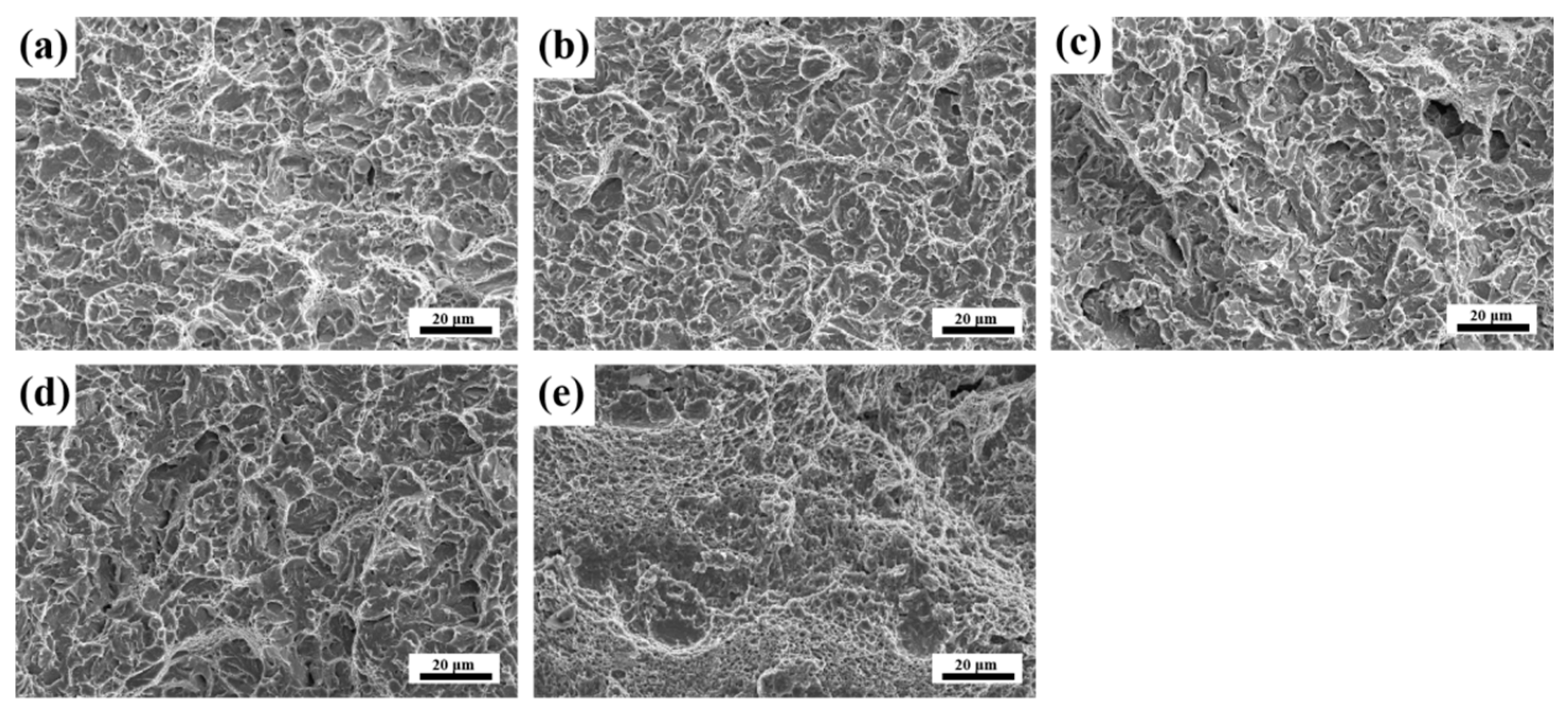 Materials 18 00848 g015