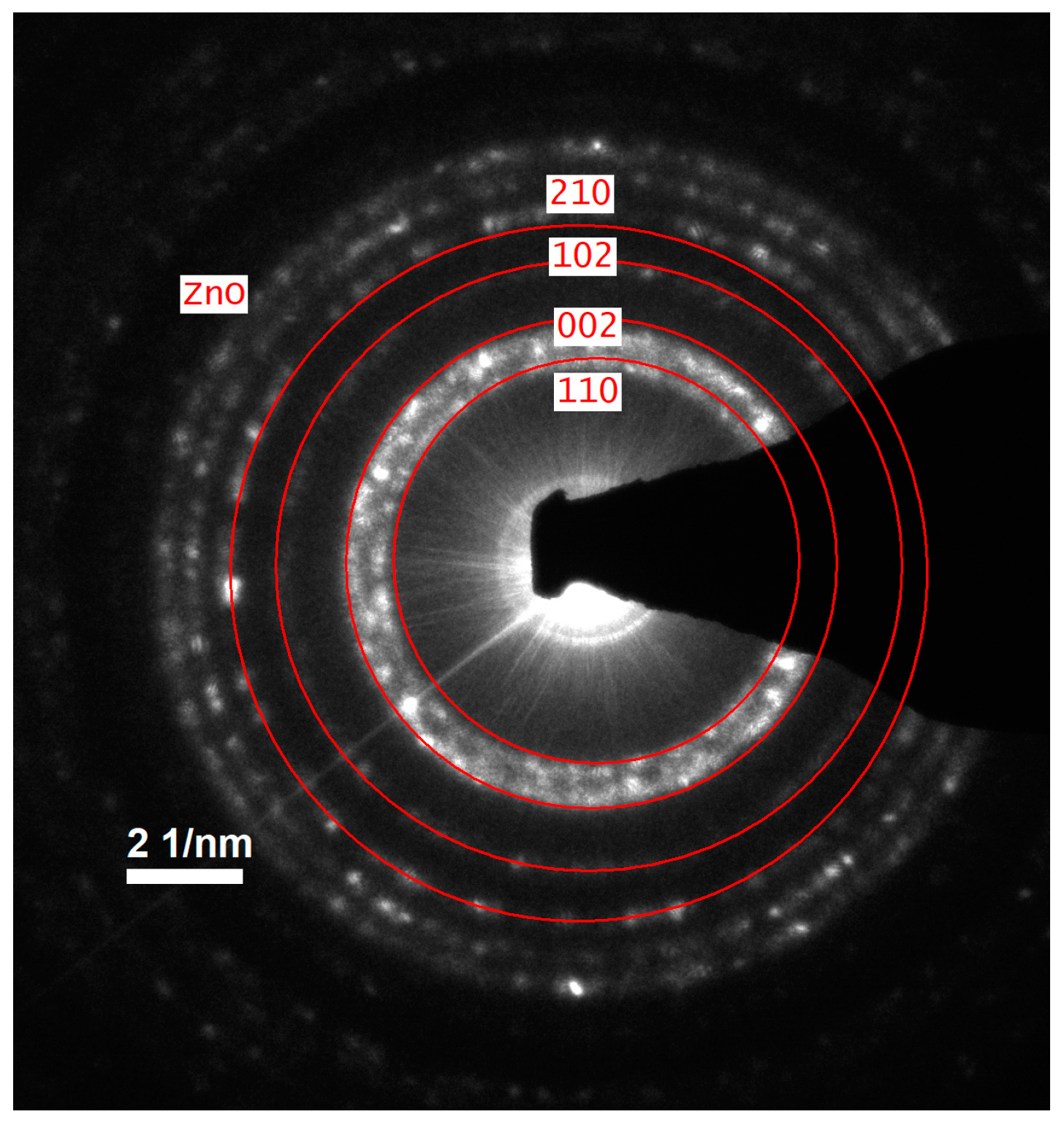 Materials 18 00861 g004