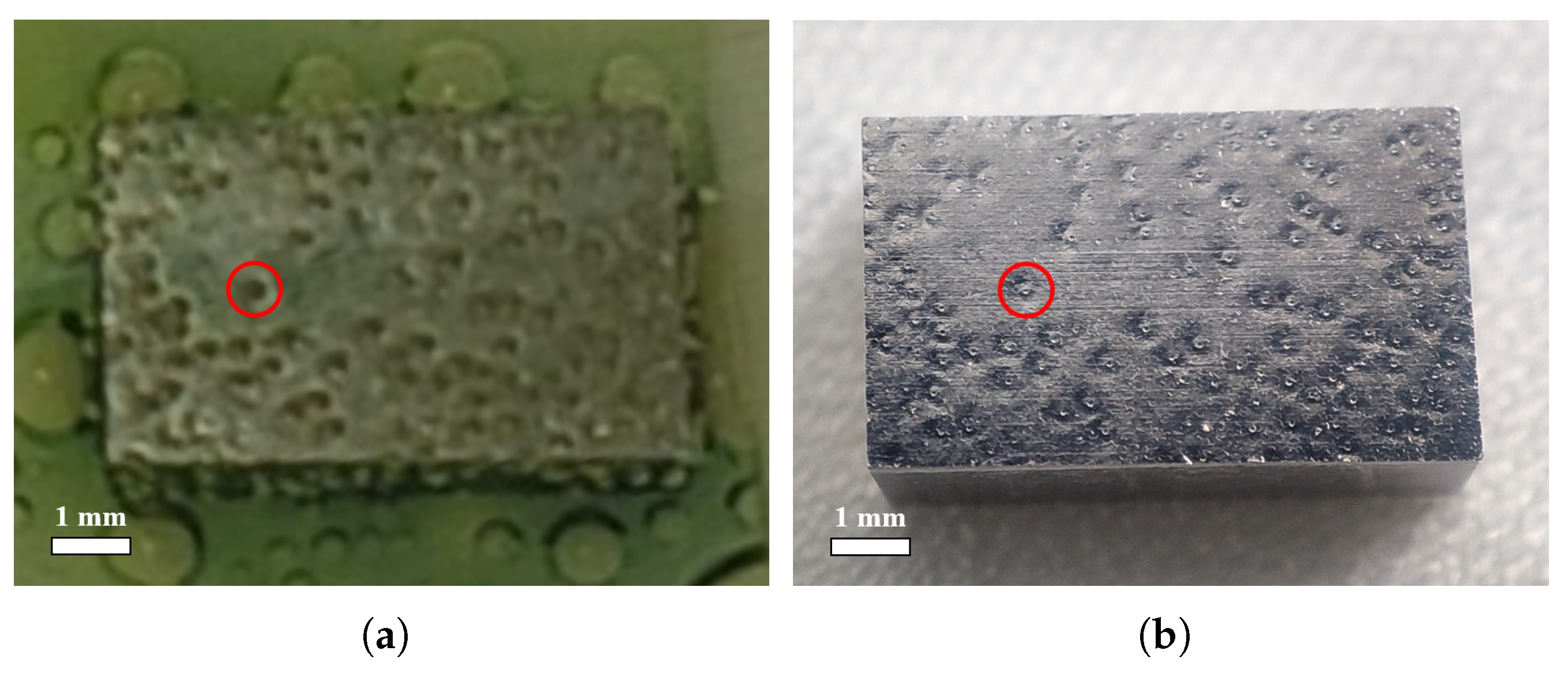 Materials 18 00865 g006