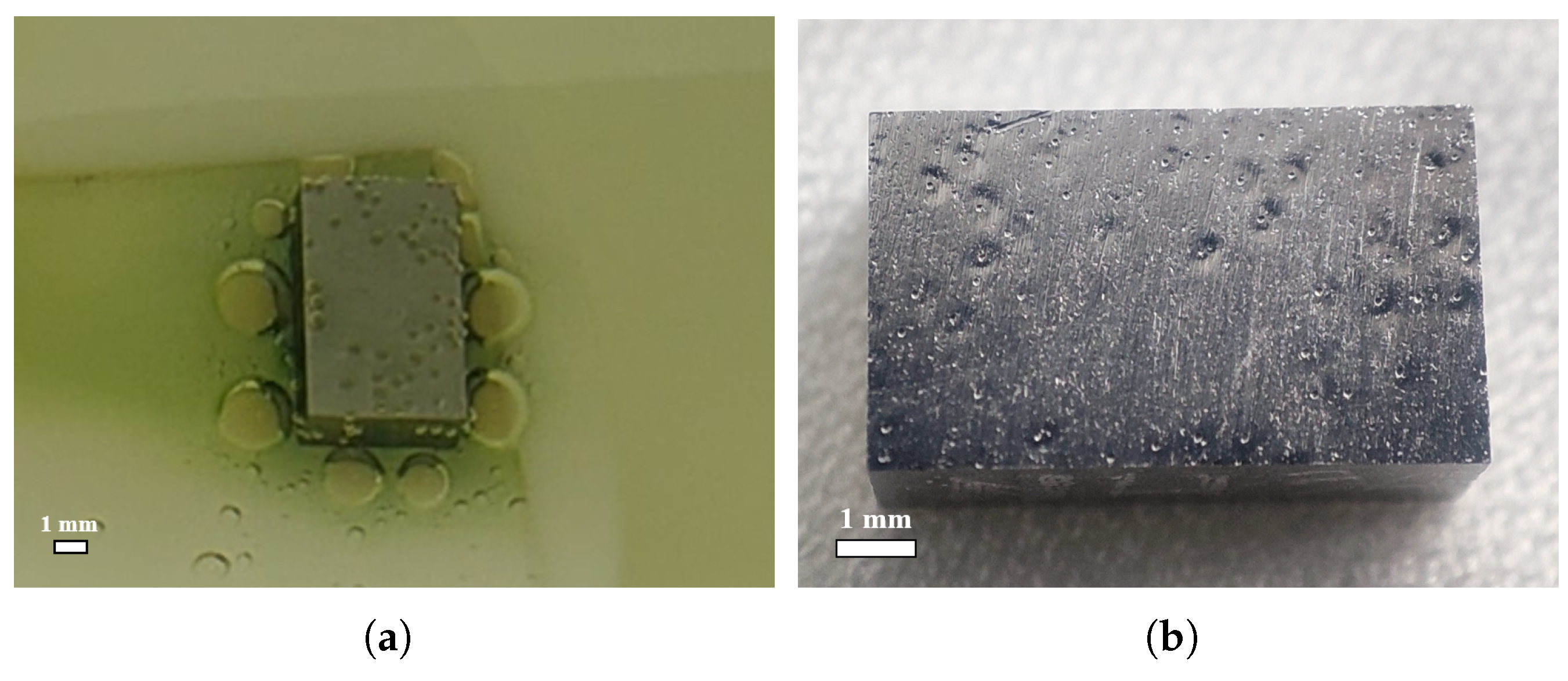 Materials 18 00865 g010