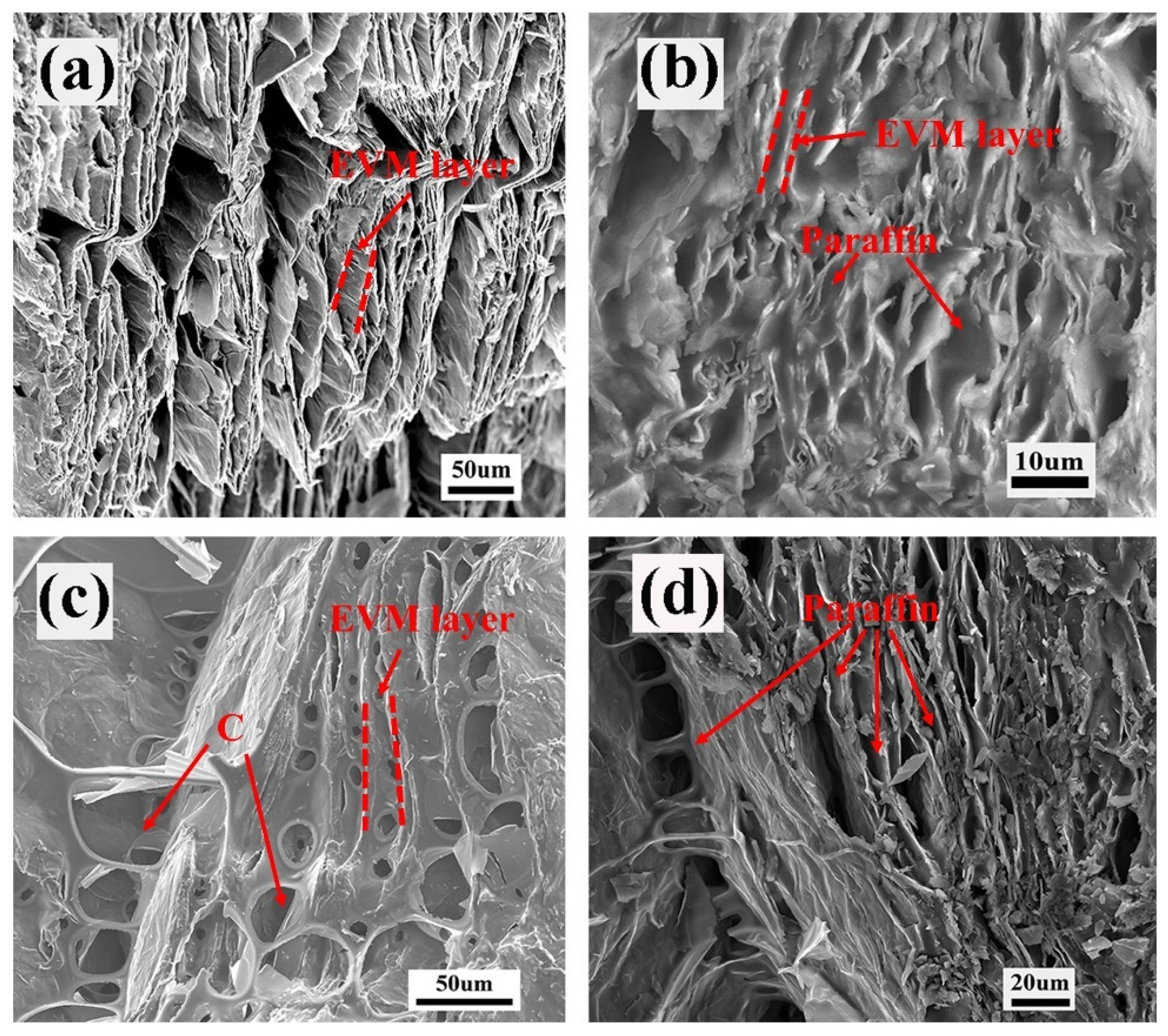 Materials 18 00870 g007 Materials 18 00870 g007