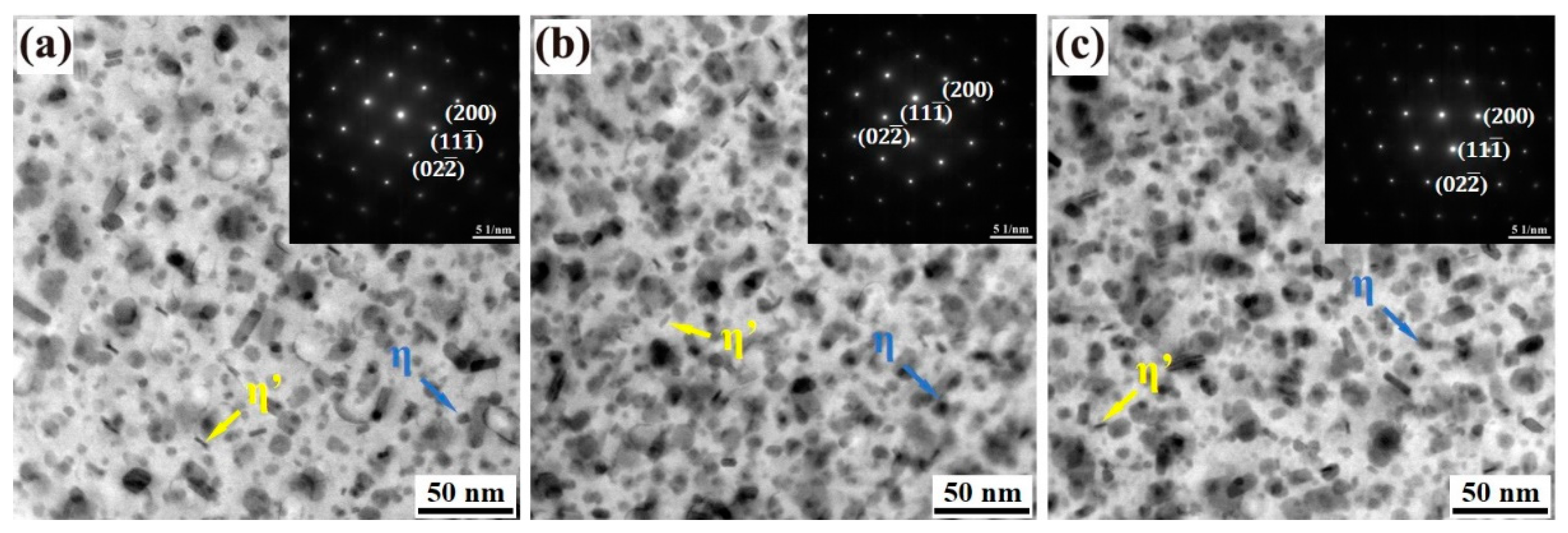 Materials 18 00875 g007