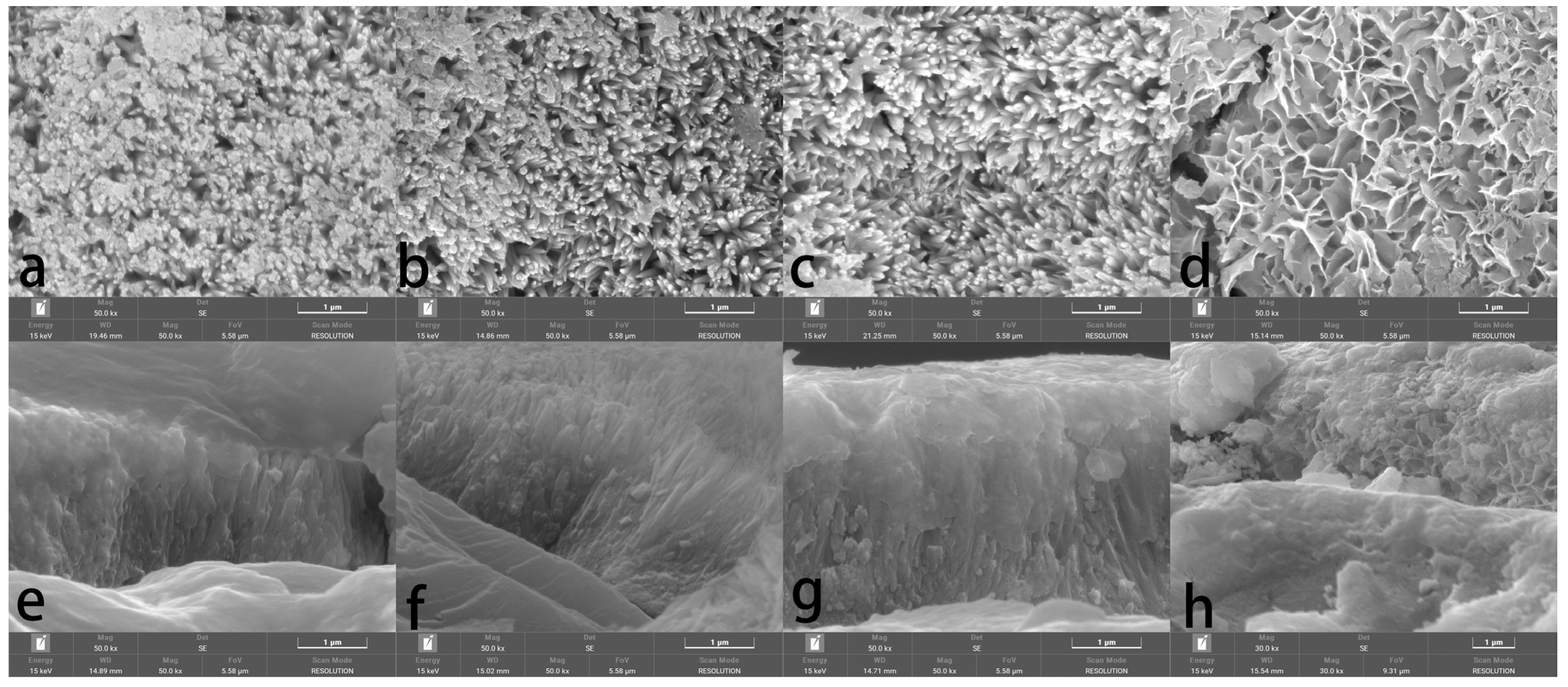 Materials 18 00880 g005