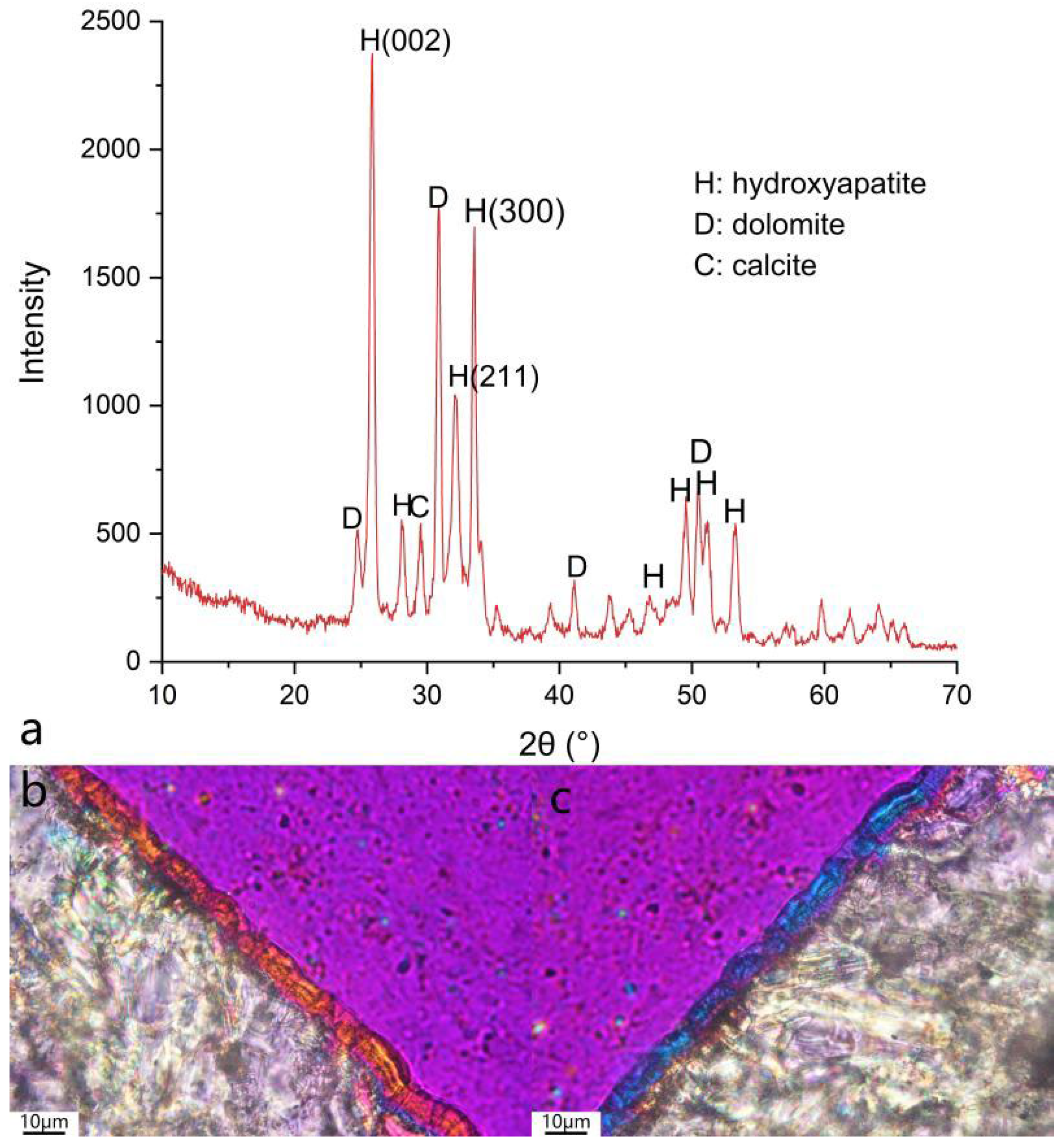Materials 18 00880 g006