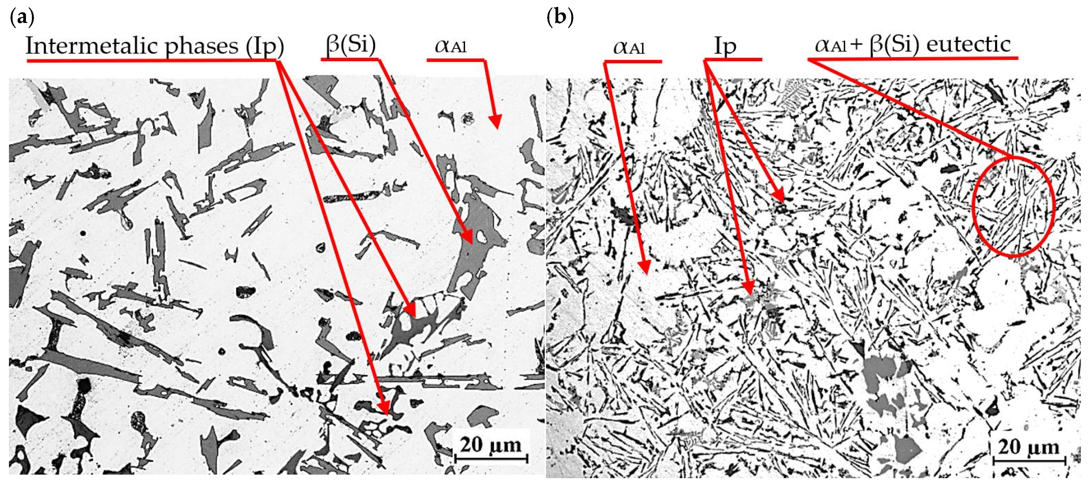 Materials 18 00882 g019