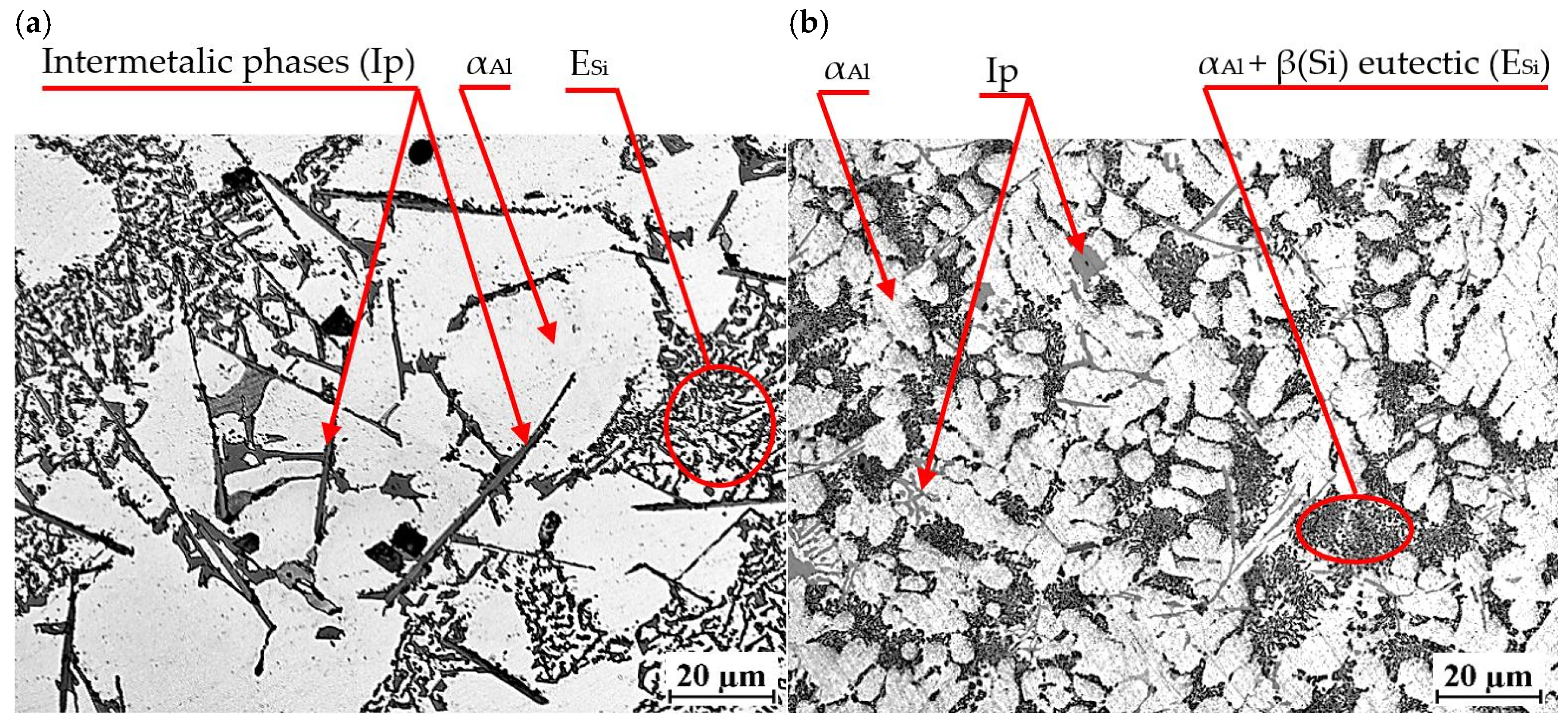 Materials 18 00882 g020