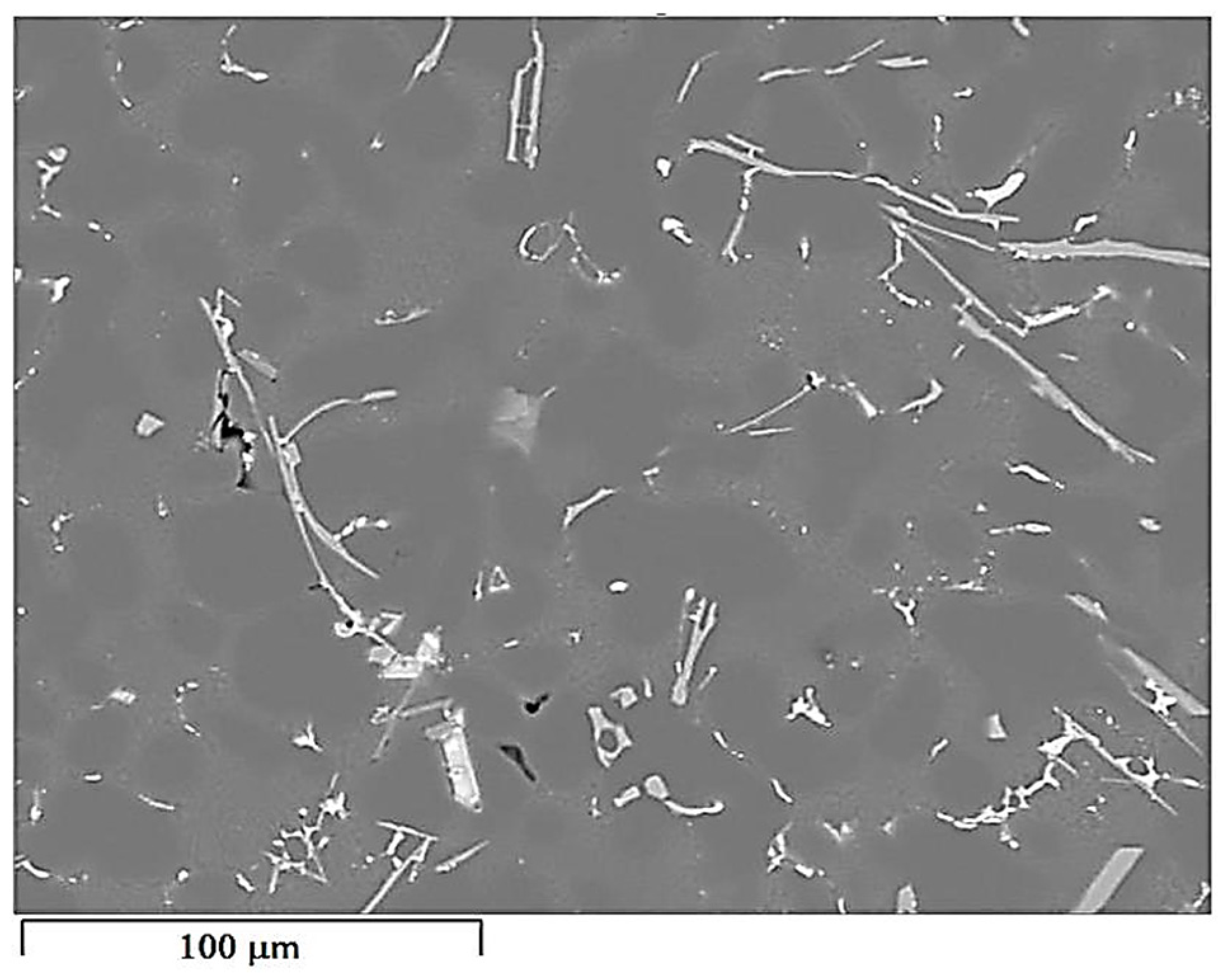 Materials 18 00882 g021