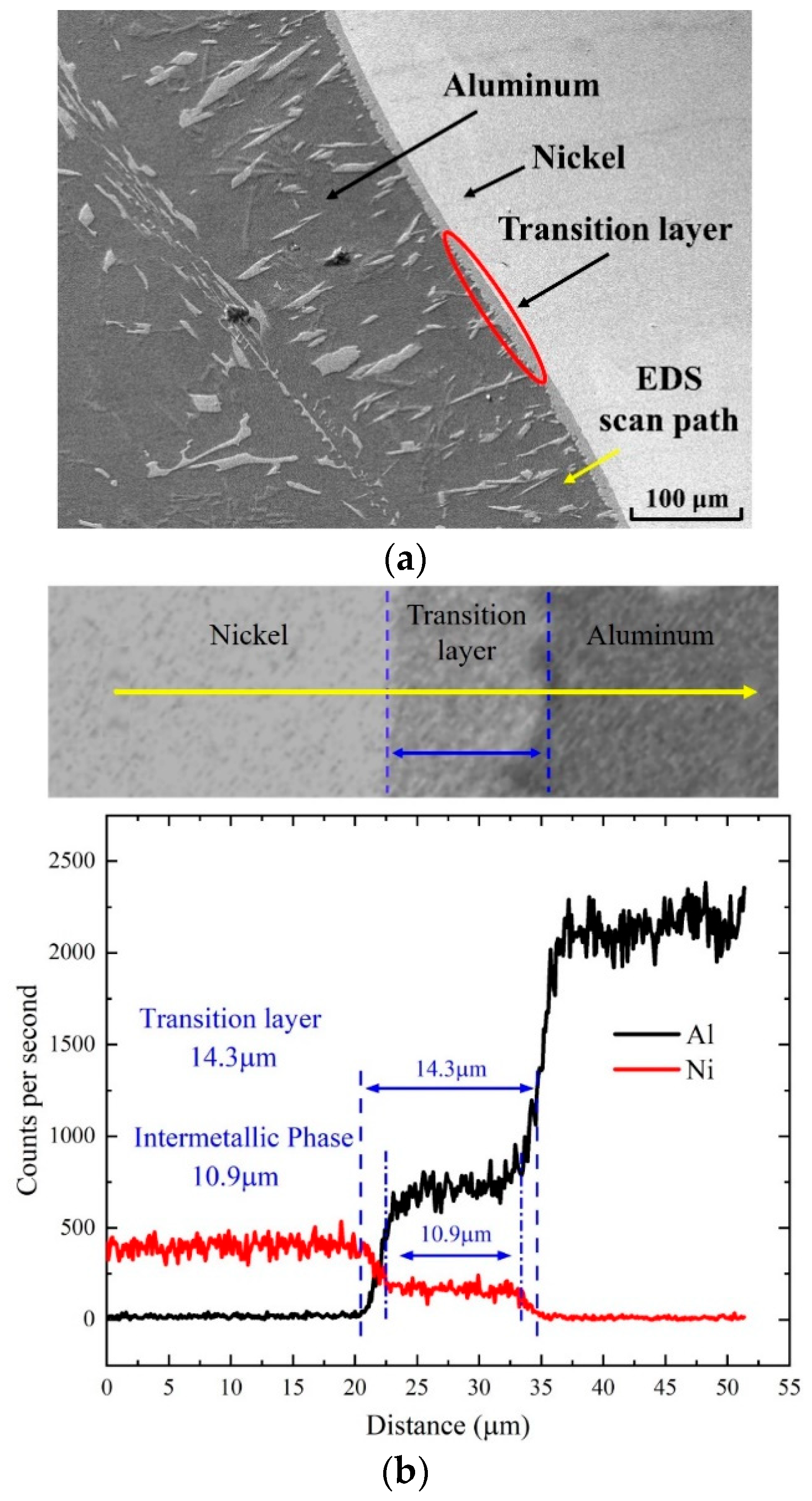 Materials 18 00900 g004