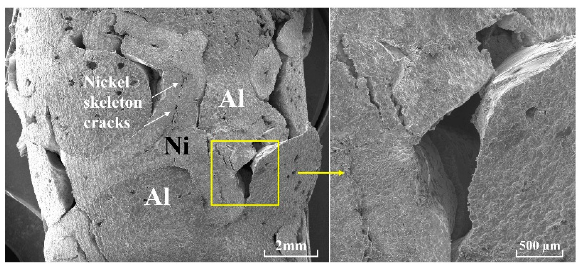 Materials 18 00900 g007