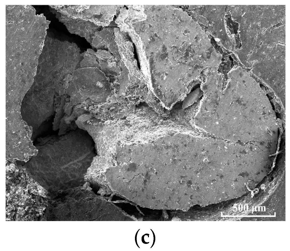 Materials 18 00900 g010b