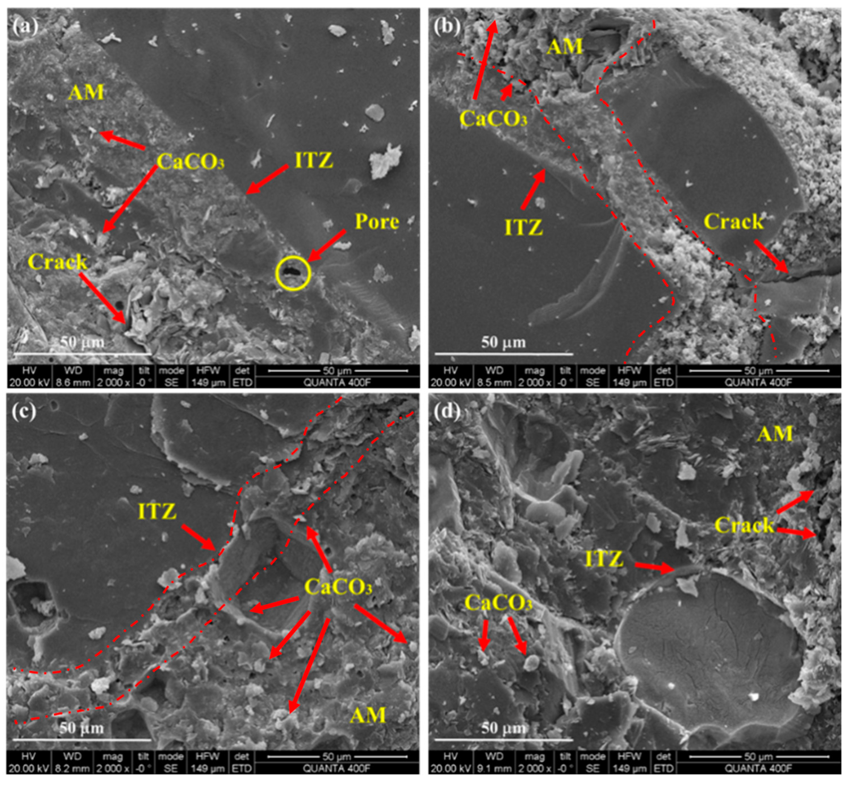 Materials 18 00901 g005