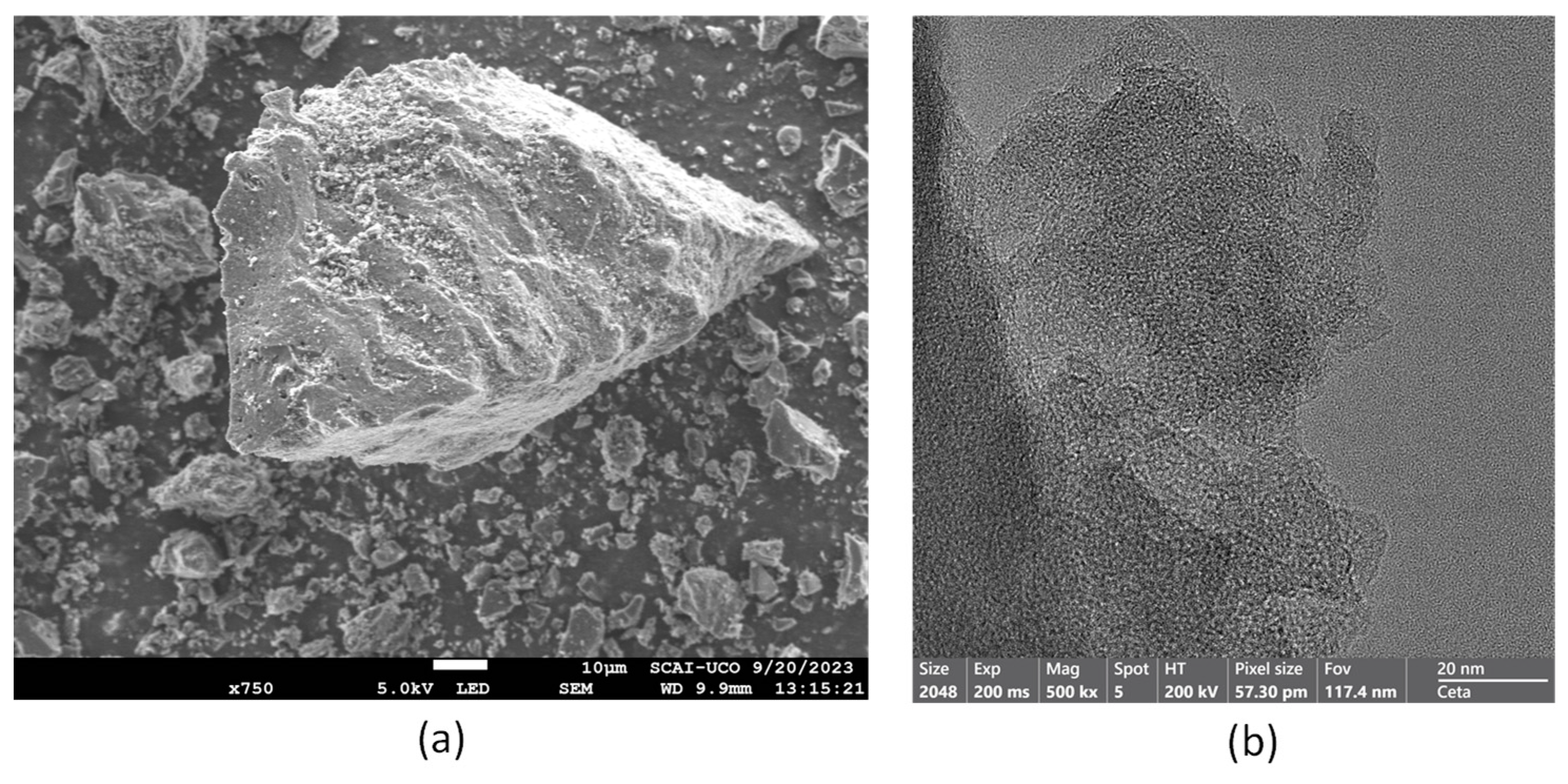 Materials 18 00904 g005