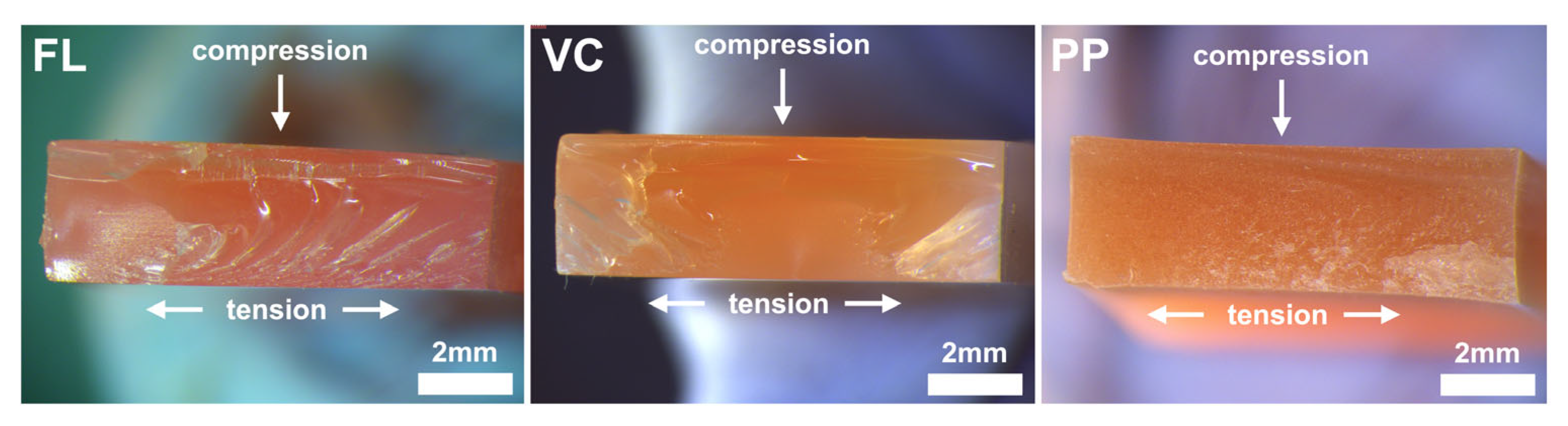 Materials 18 00913 g004