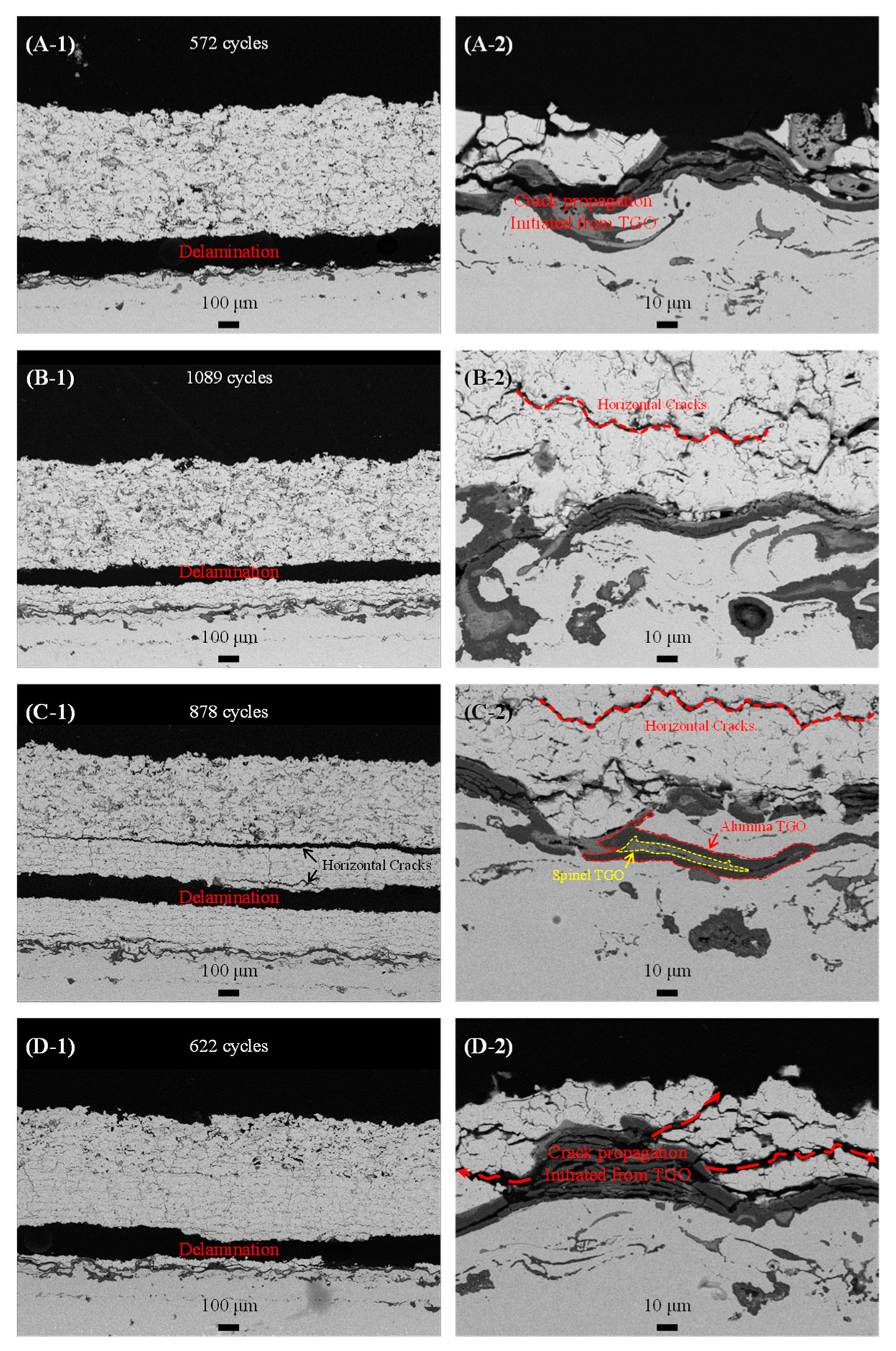 Materials 18 00917 g005