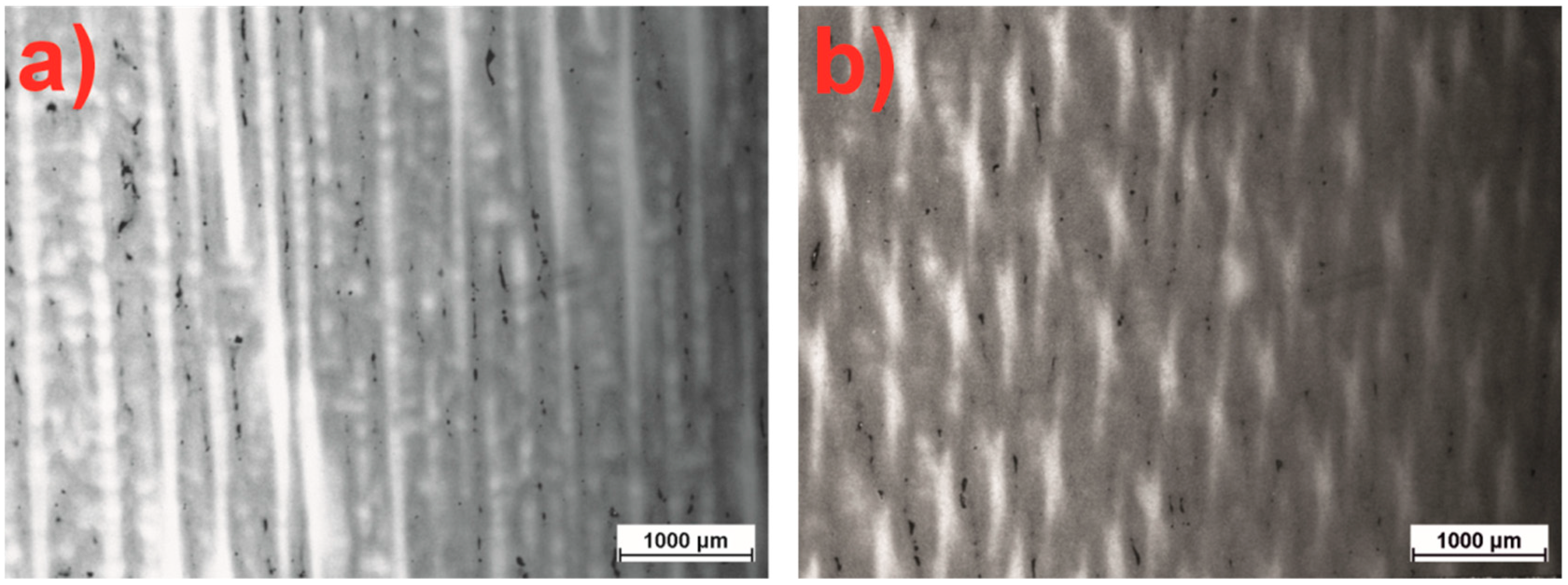Materials 18 00919 g007 Materials 18 00919 g007