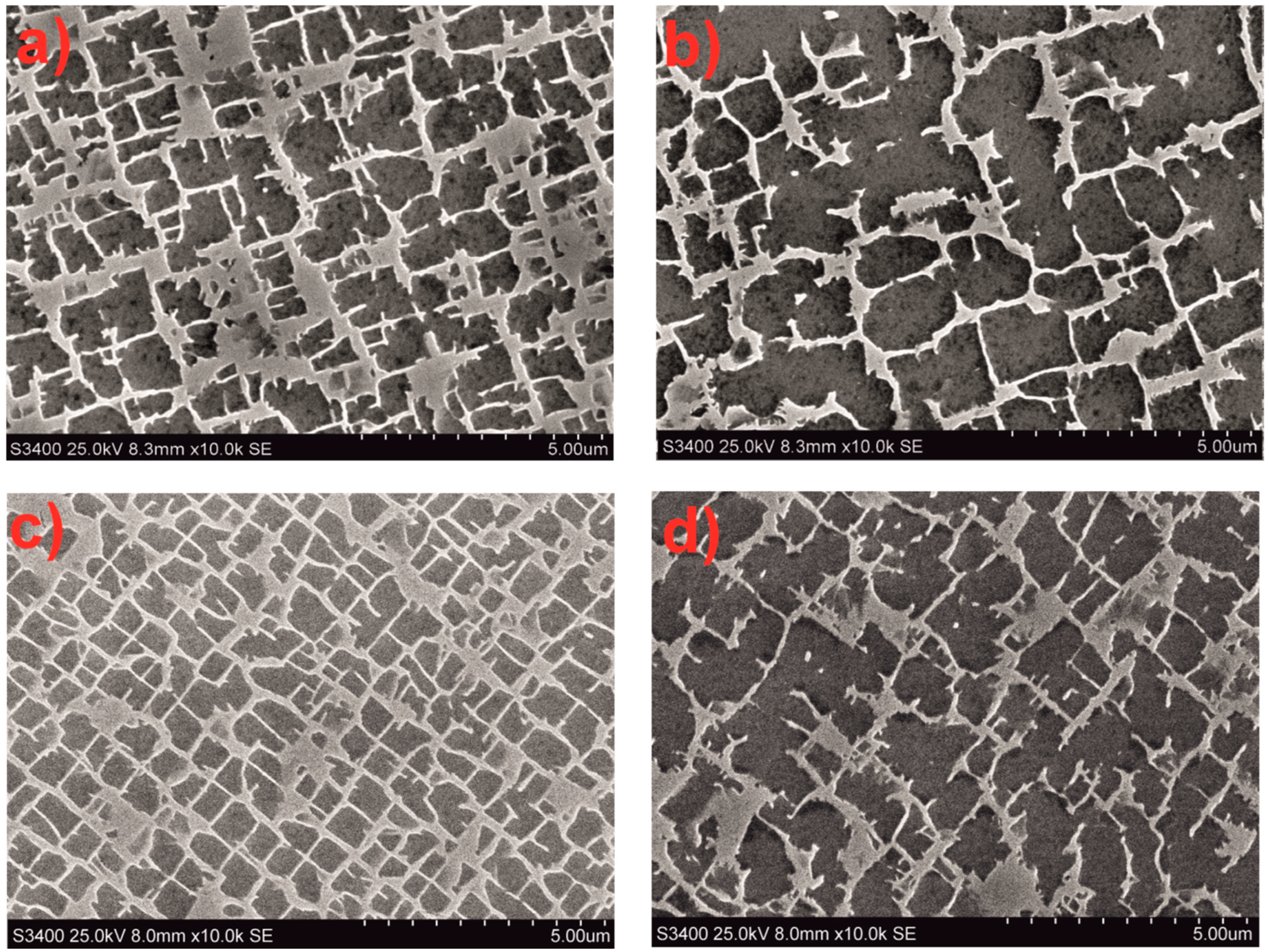 Materials 18 00919 g008 Materials 18 00919 g008