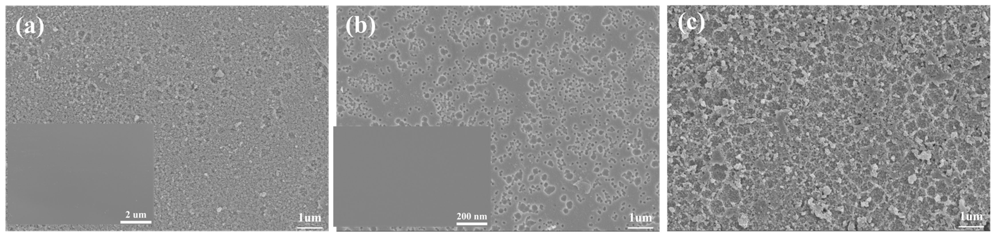 Materials 18 00930 g007