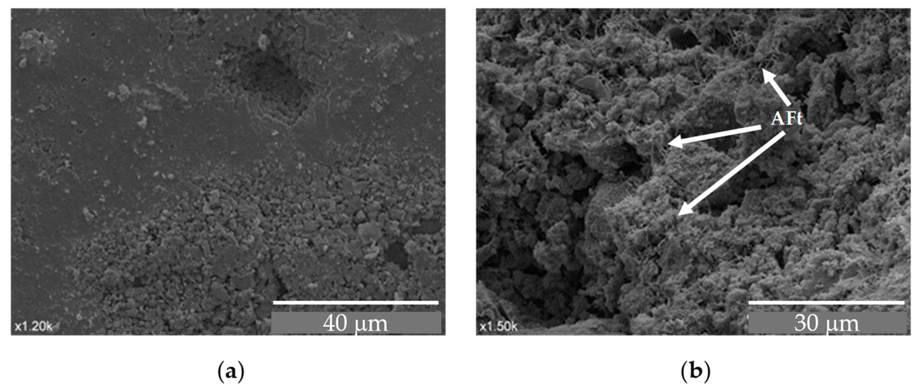 Materials 18 00933 g019