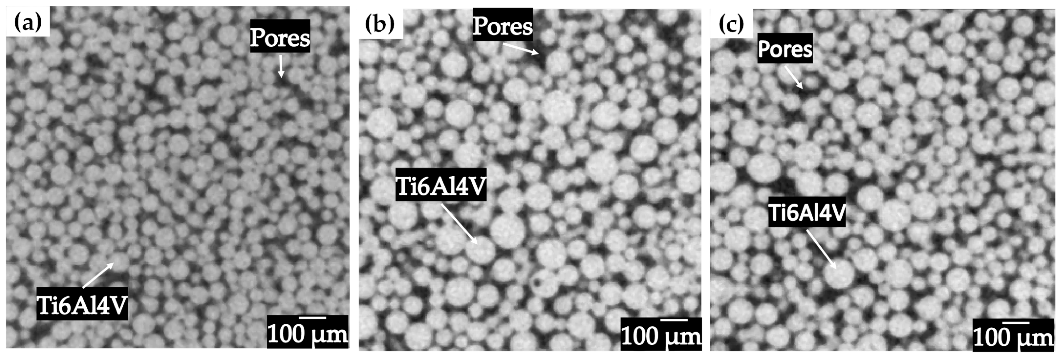 Materials 18 00939 g003