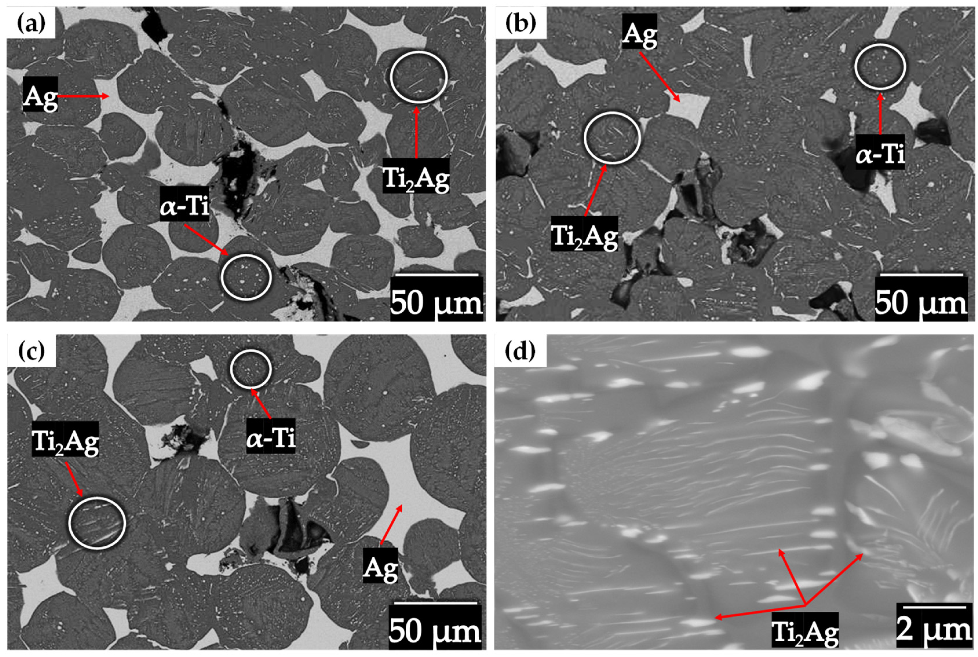 Materials 18 00939 g011