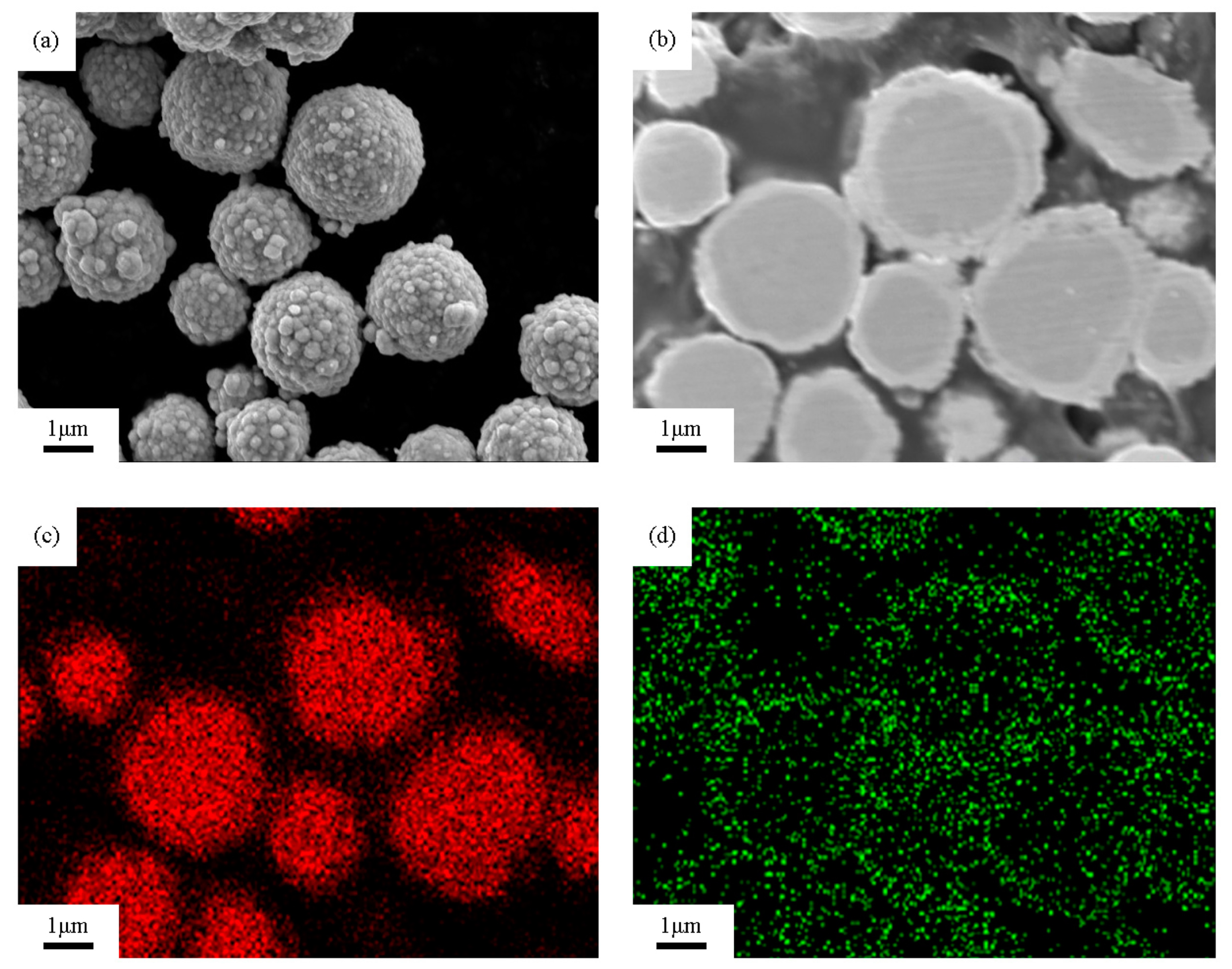 Materials 18 00940 g001