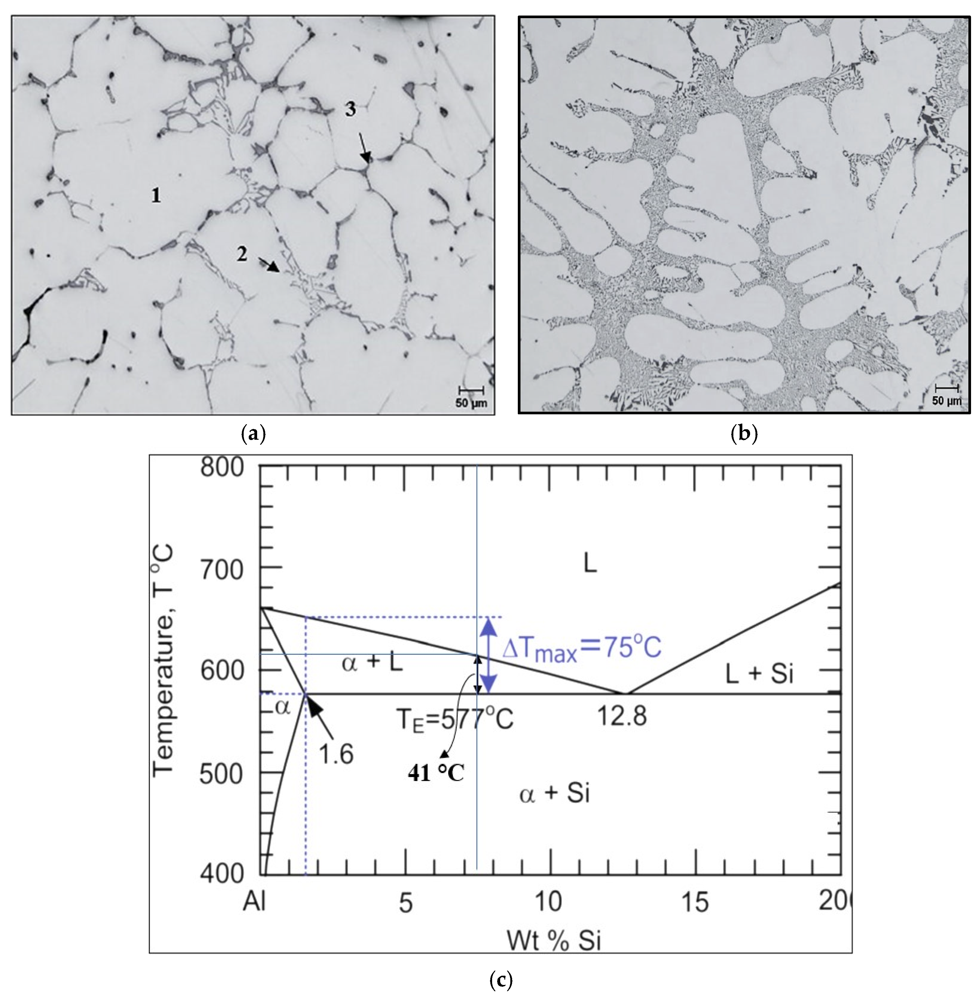 Materials 18 00941 g002