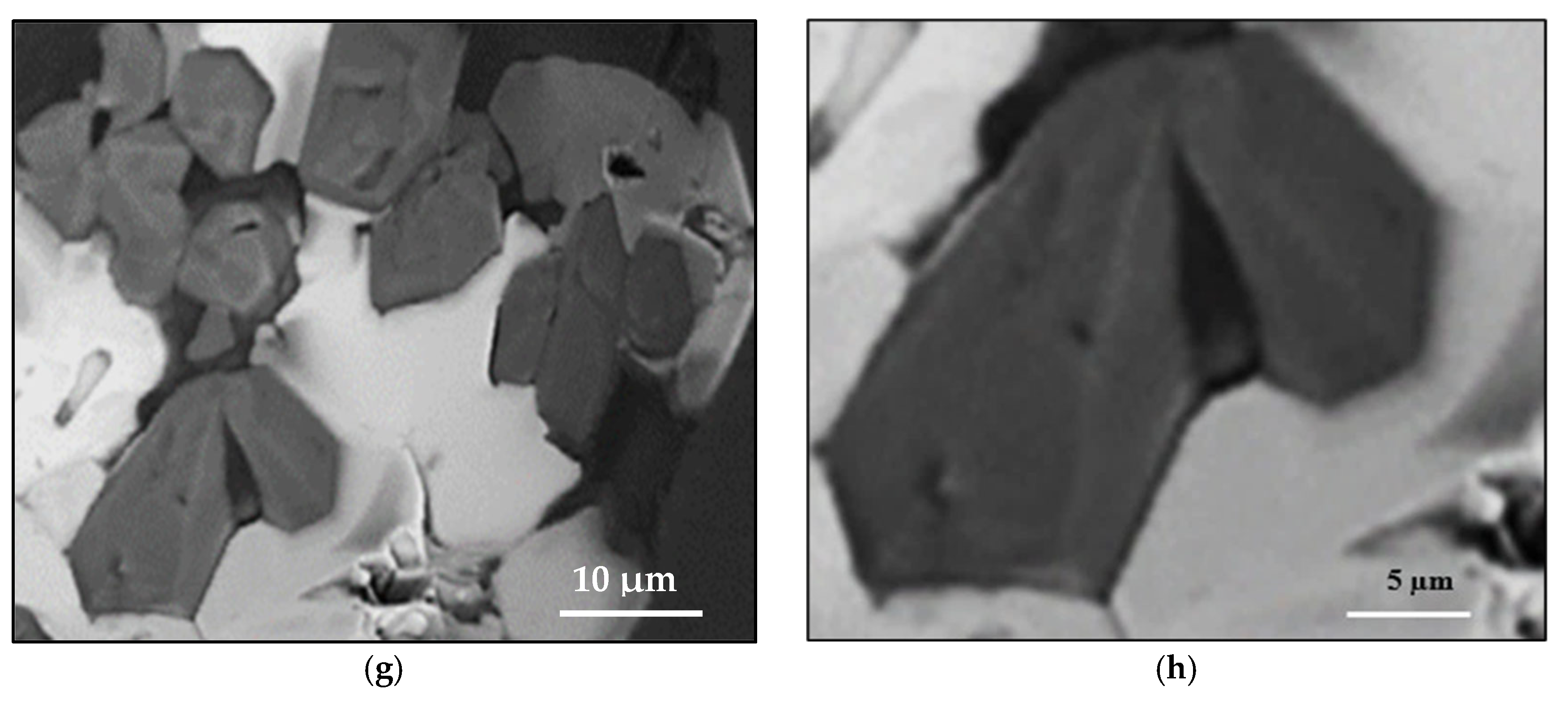 Materials 18 00941 g003b