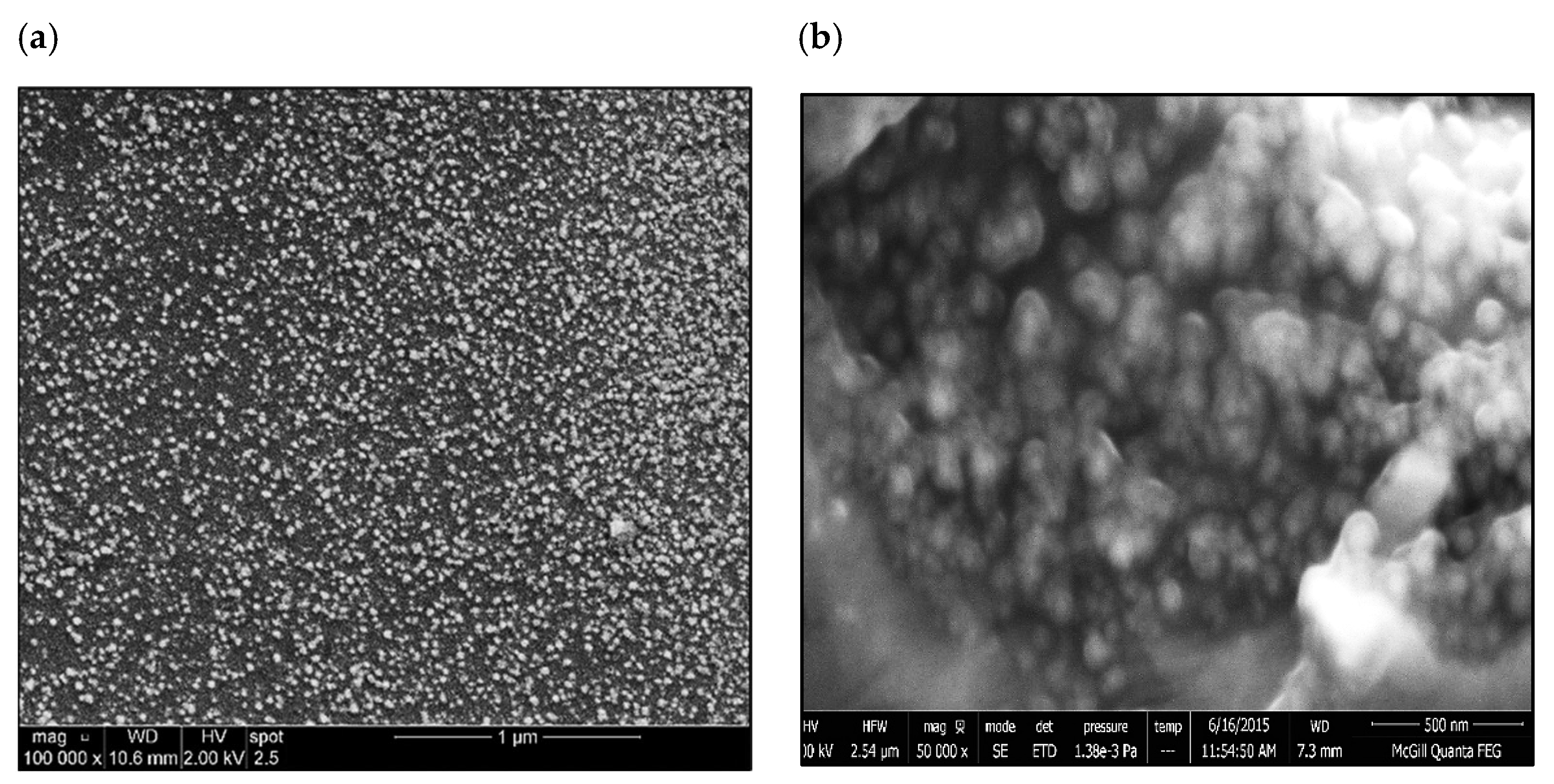 Materials 18 00941 g008