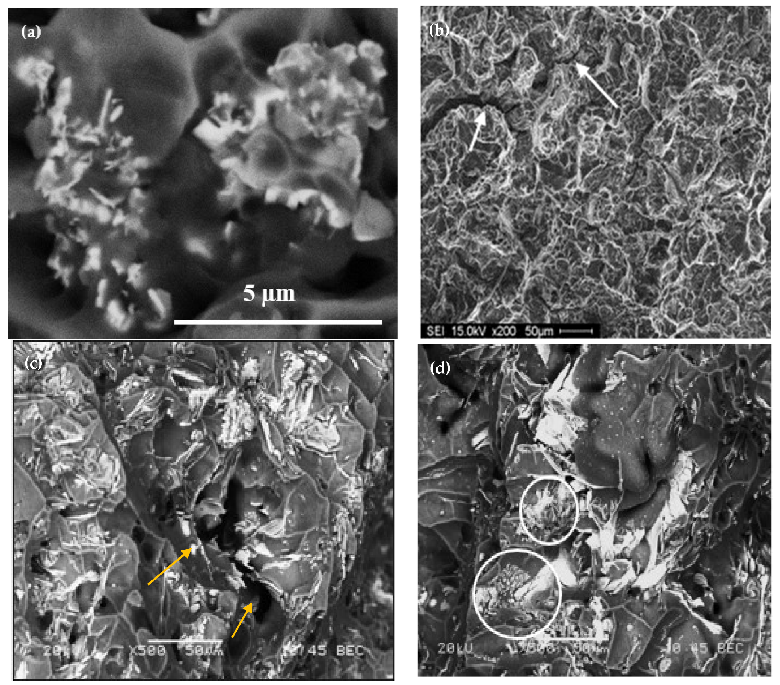 Materials 18 00941 g016