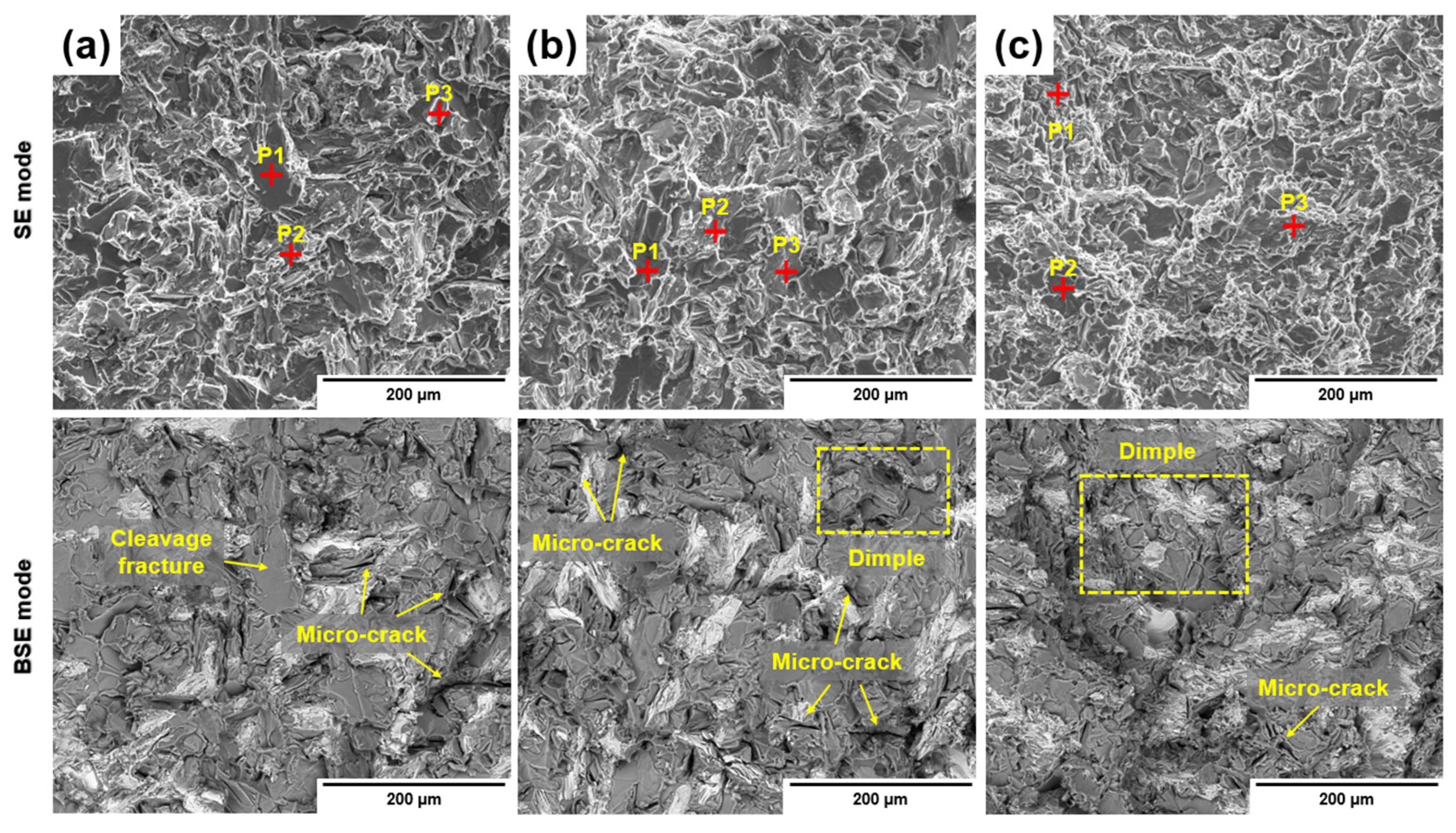 Materials 18 00943 g010