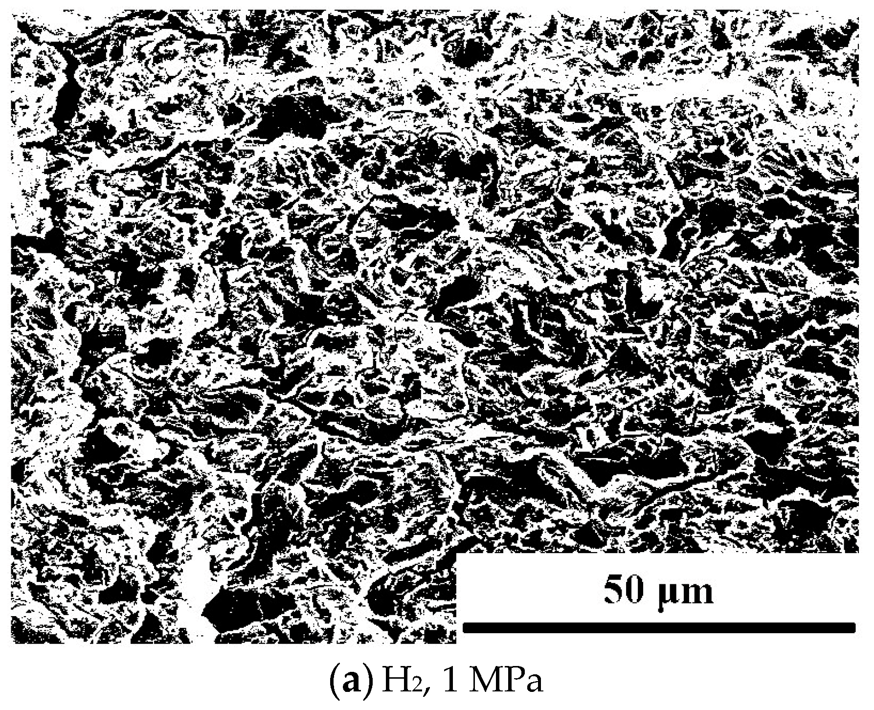 Materials 18 00947 g010a