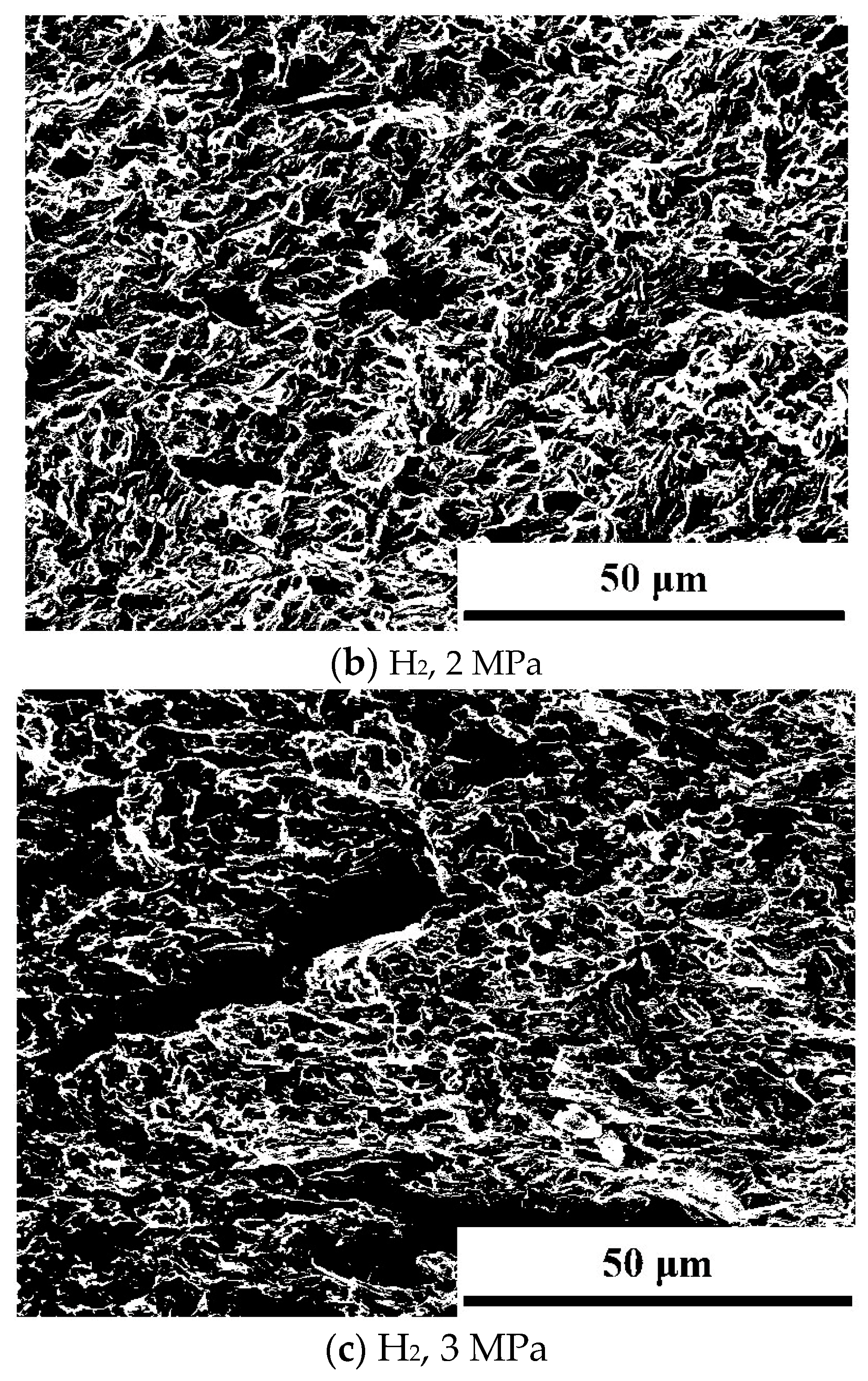 Materials 18 00947 g010b