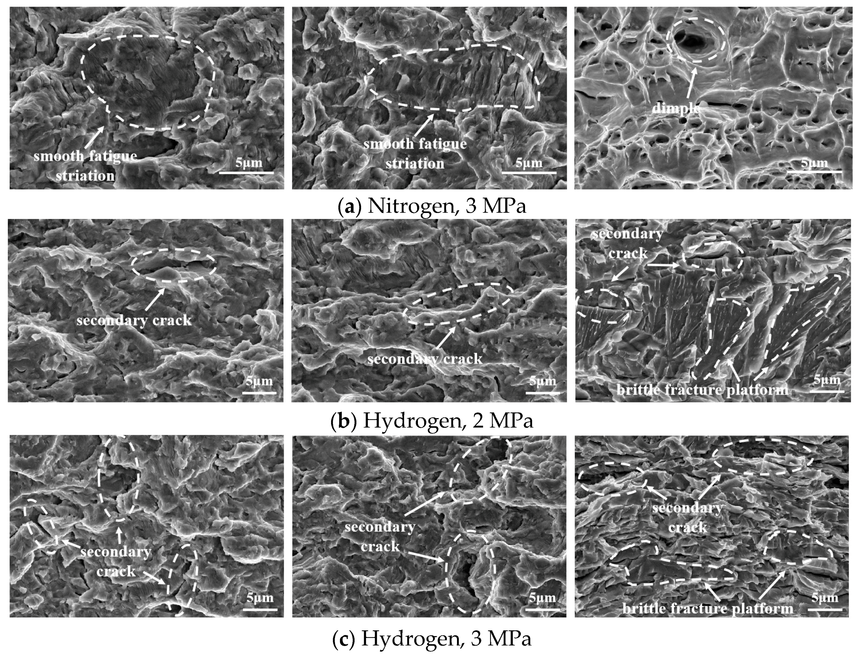 Materials 18 00947 g011