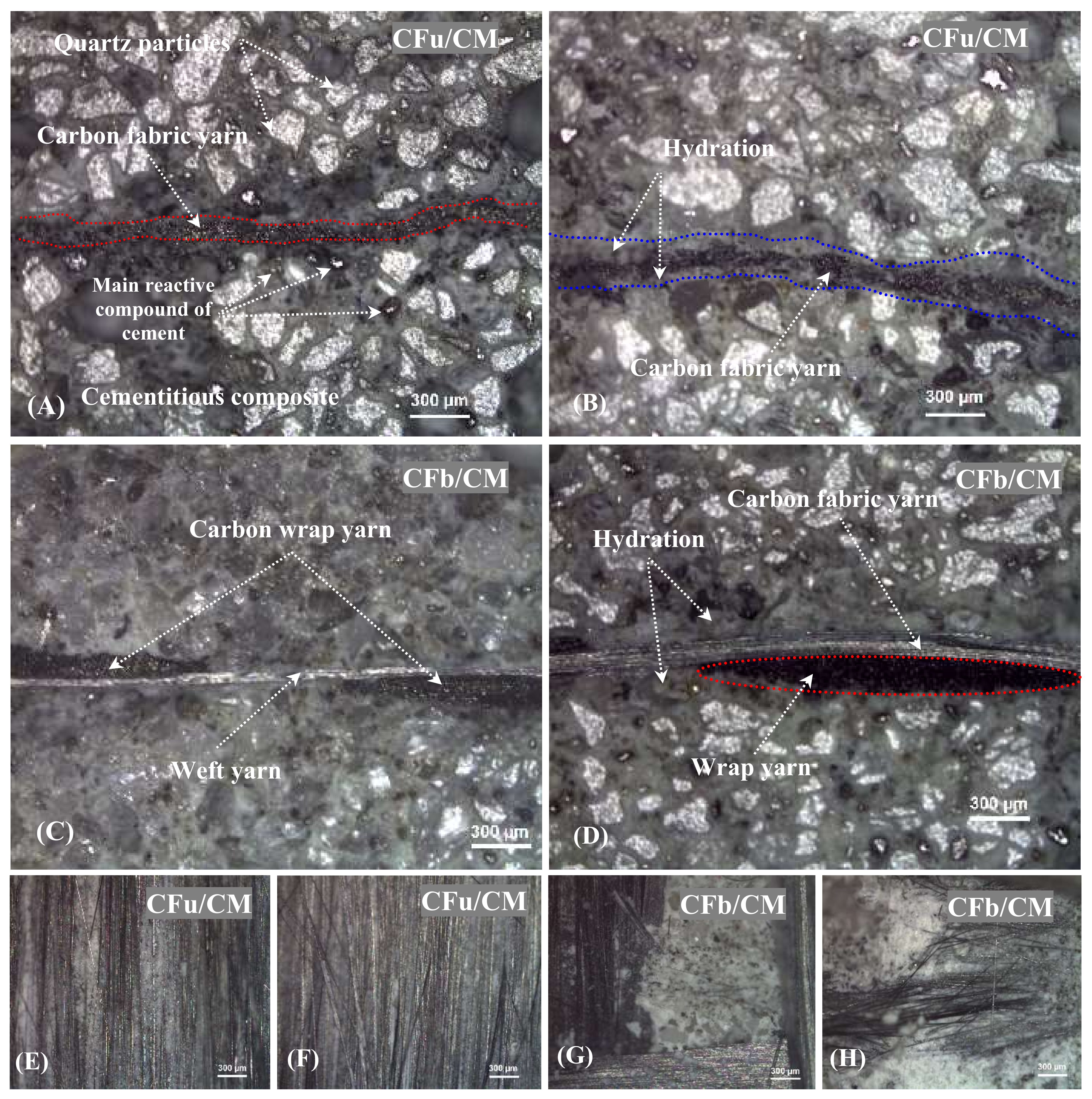 Materials 18 00949 g006