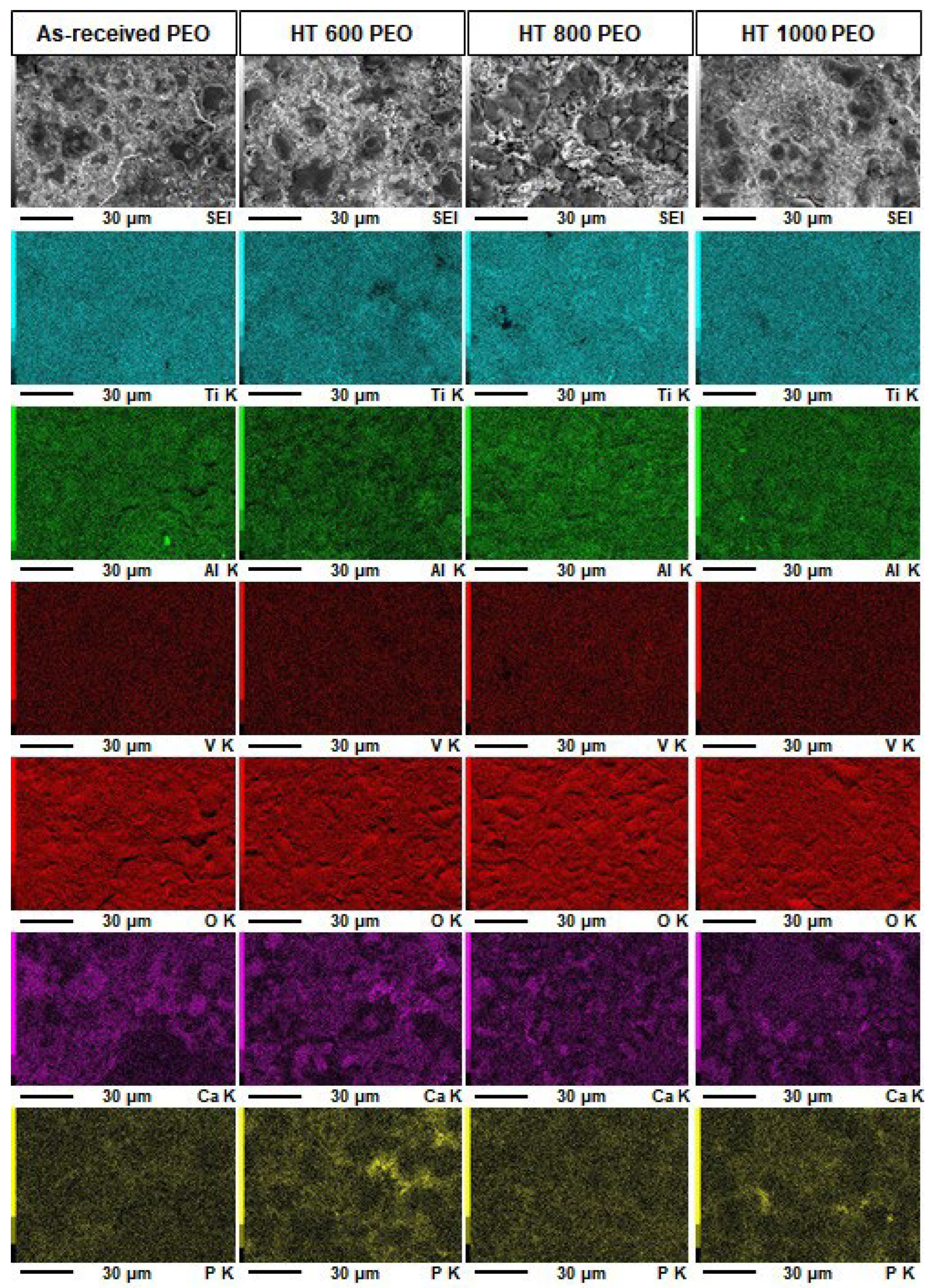 Materials 18 00955 g005