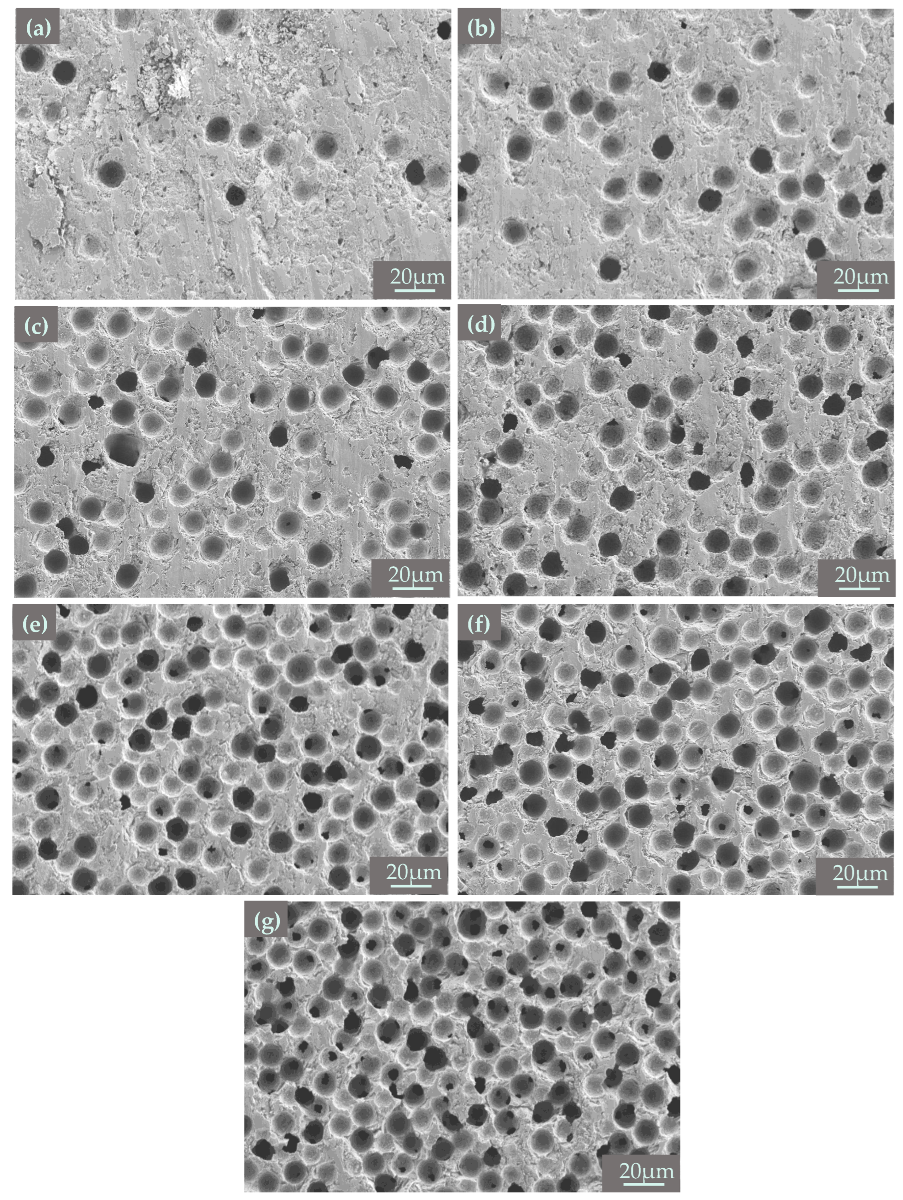 Materials 18 00956 g014