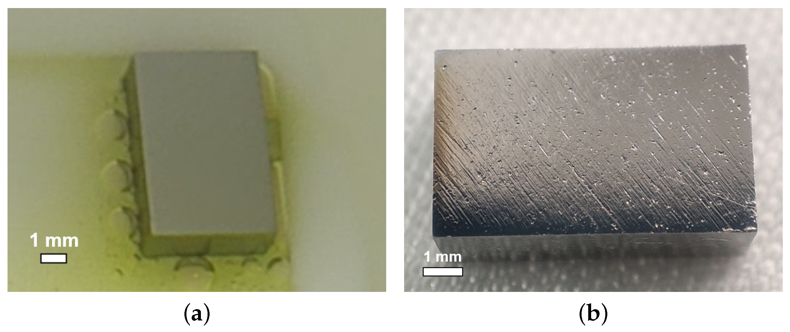 Materials 18 00960 g010