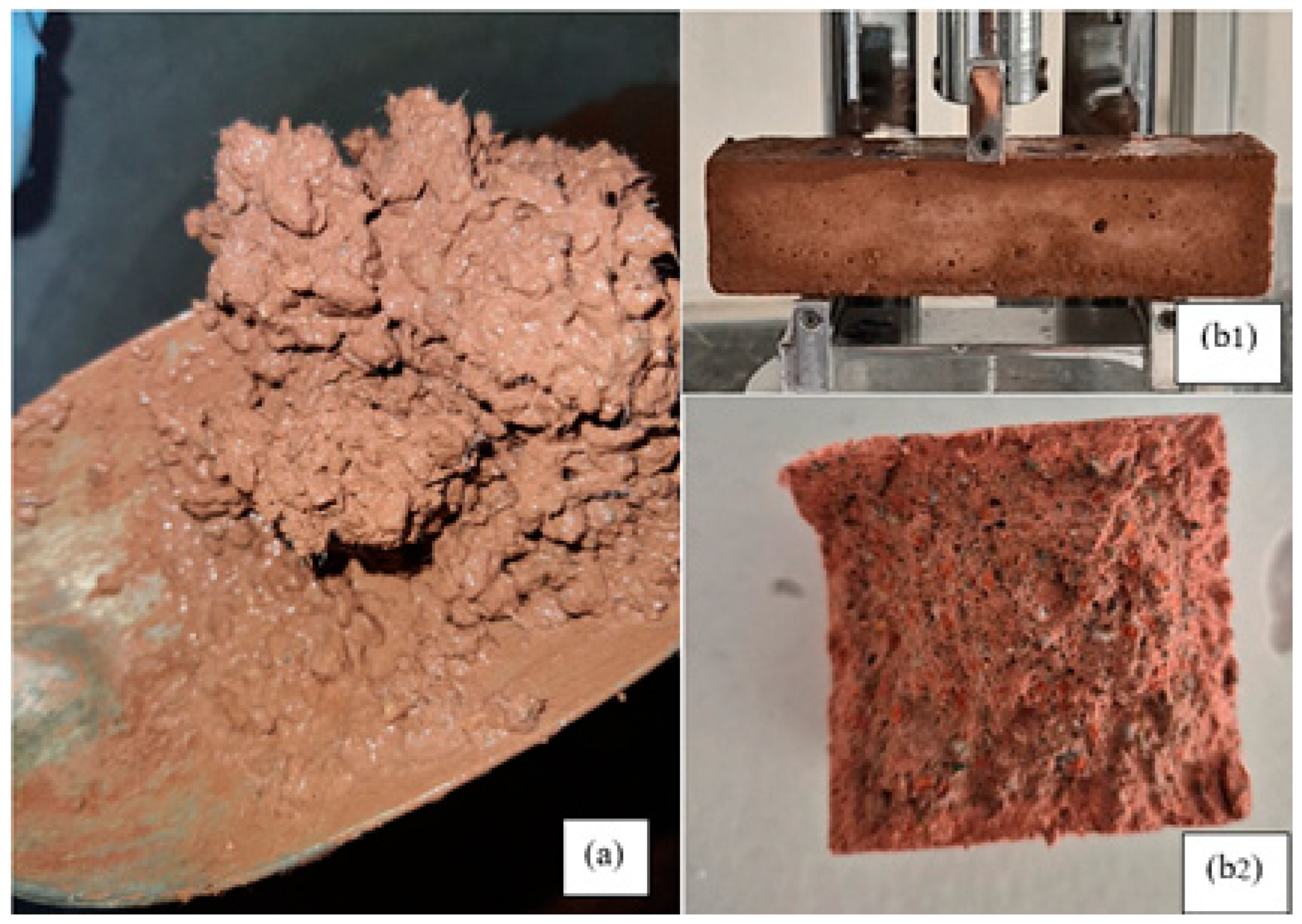 Materials 18 00961 g003