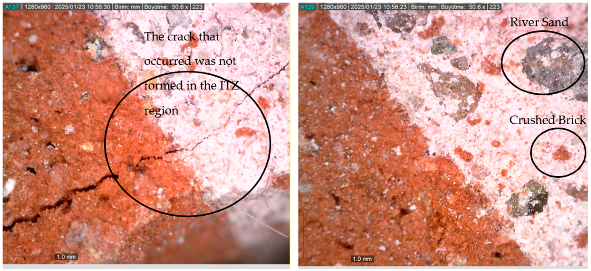 Materials 18 00961 g005