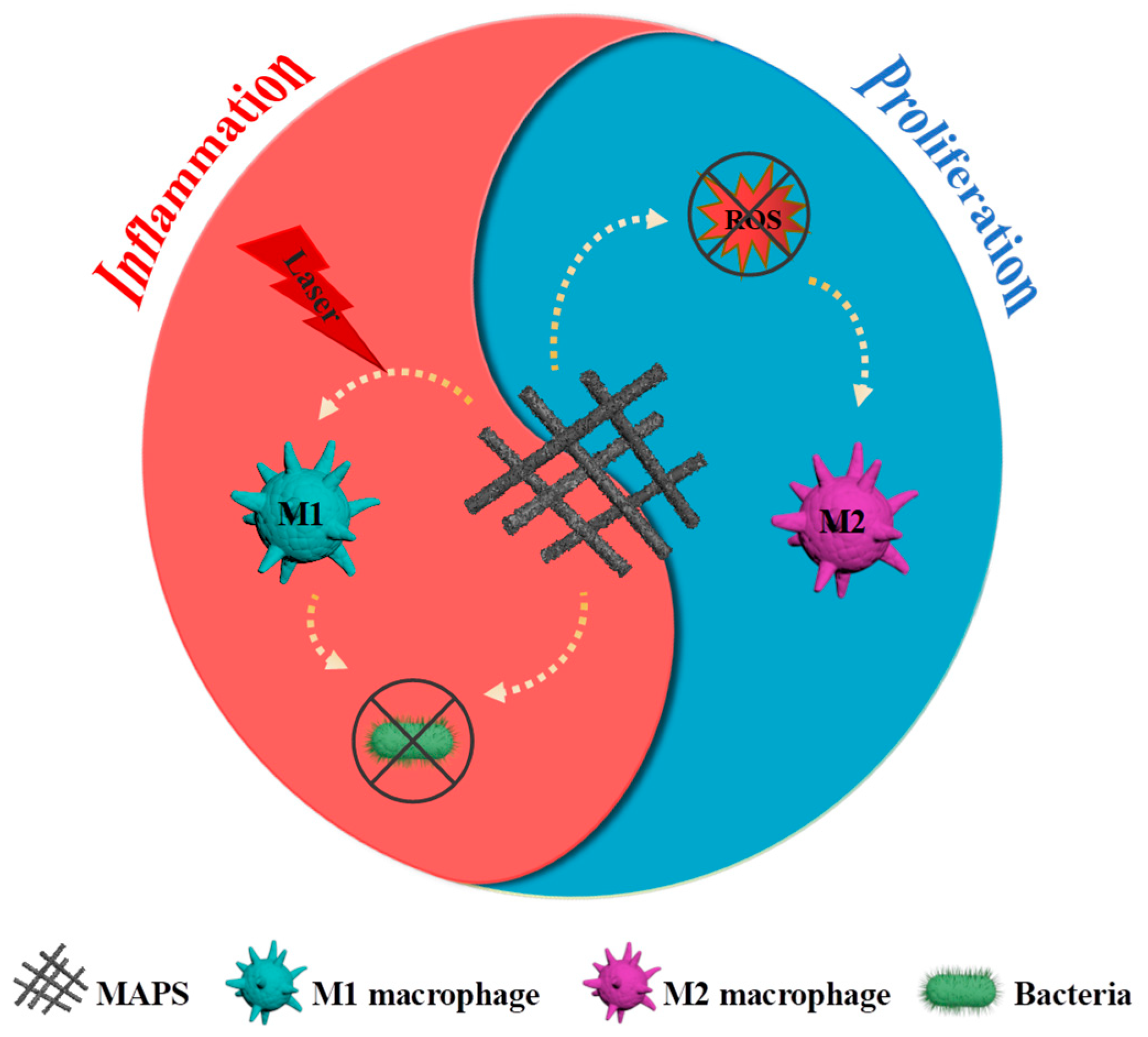 Materials 18 00963 sch001