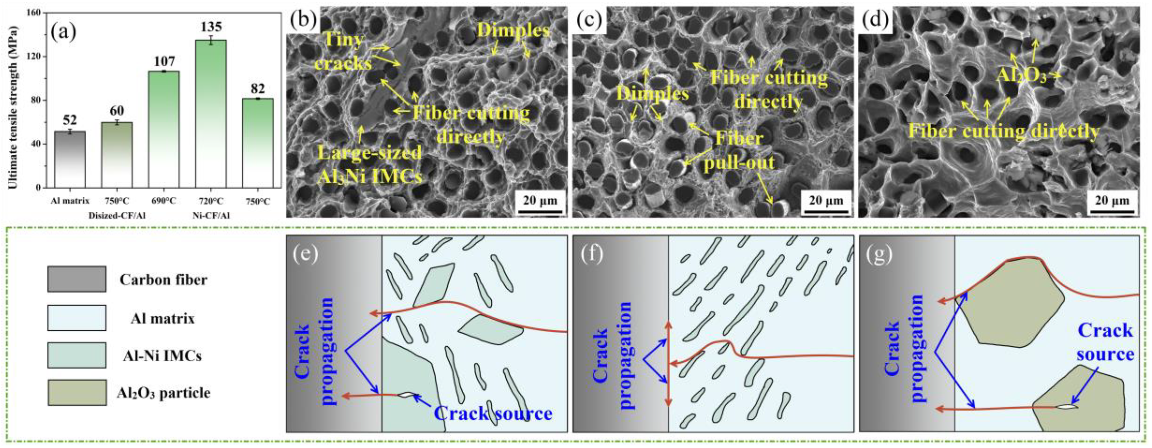 Materials 18 00966 g005