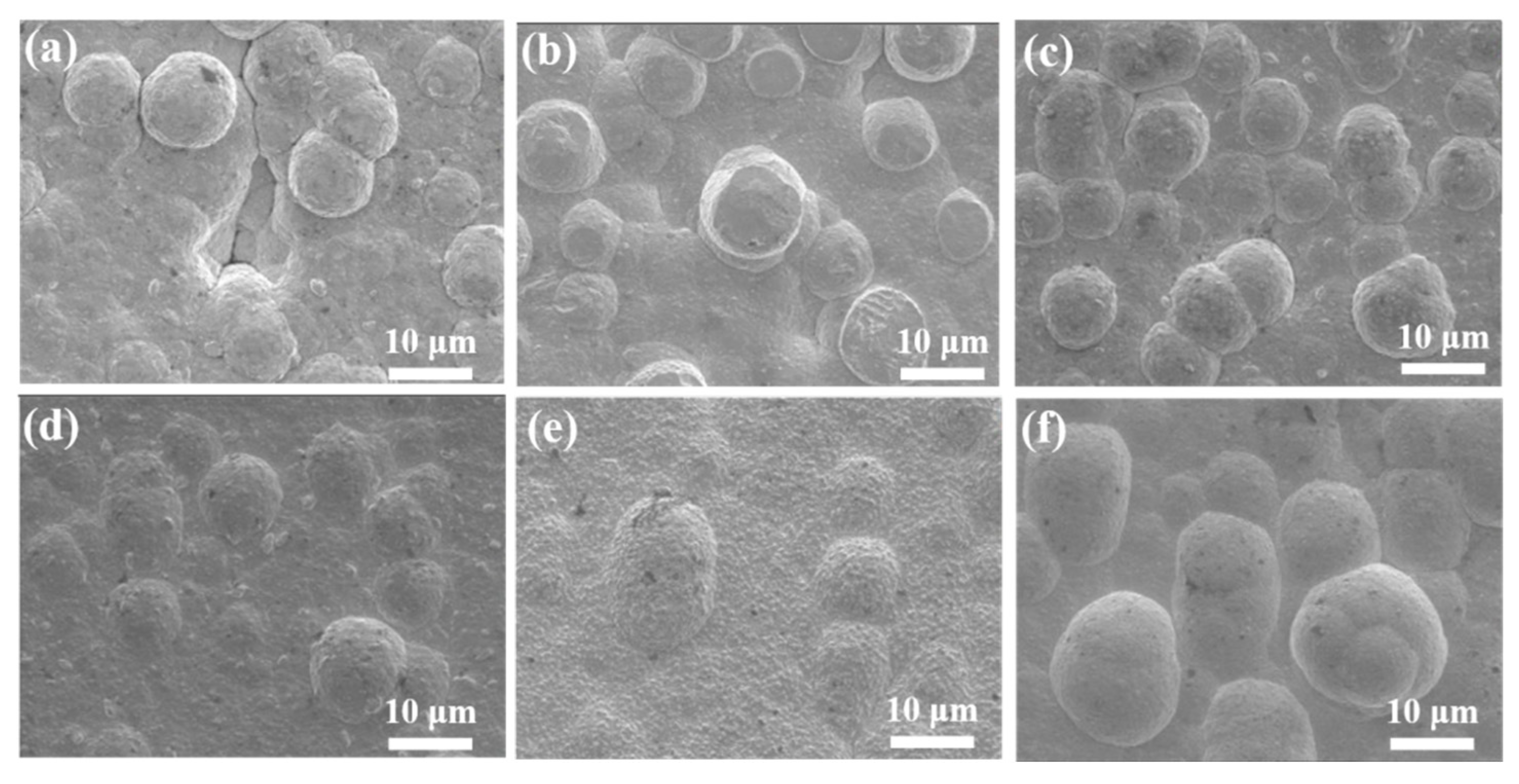 Materials 18 00969 g001