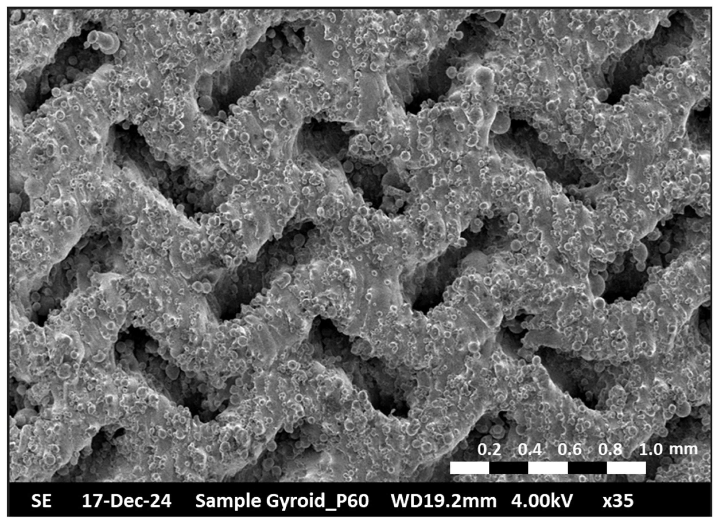 Materials 18 00979 g005