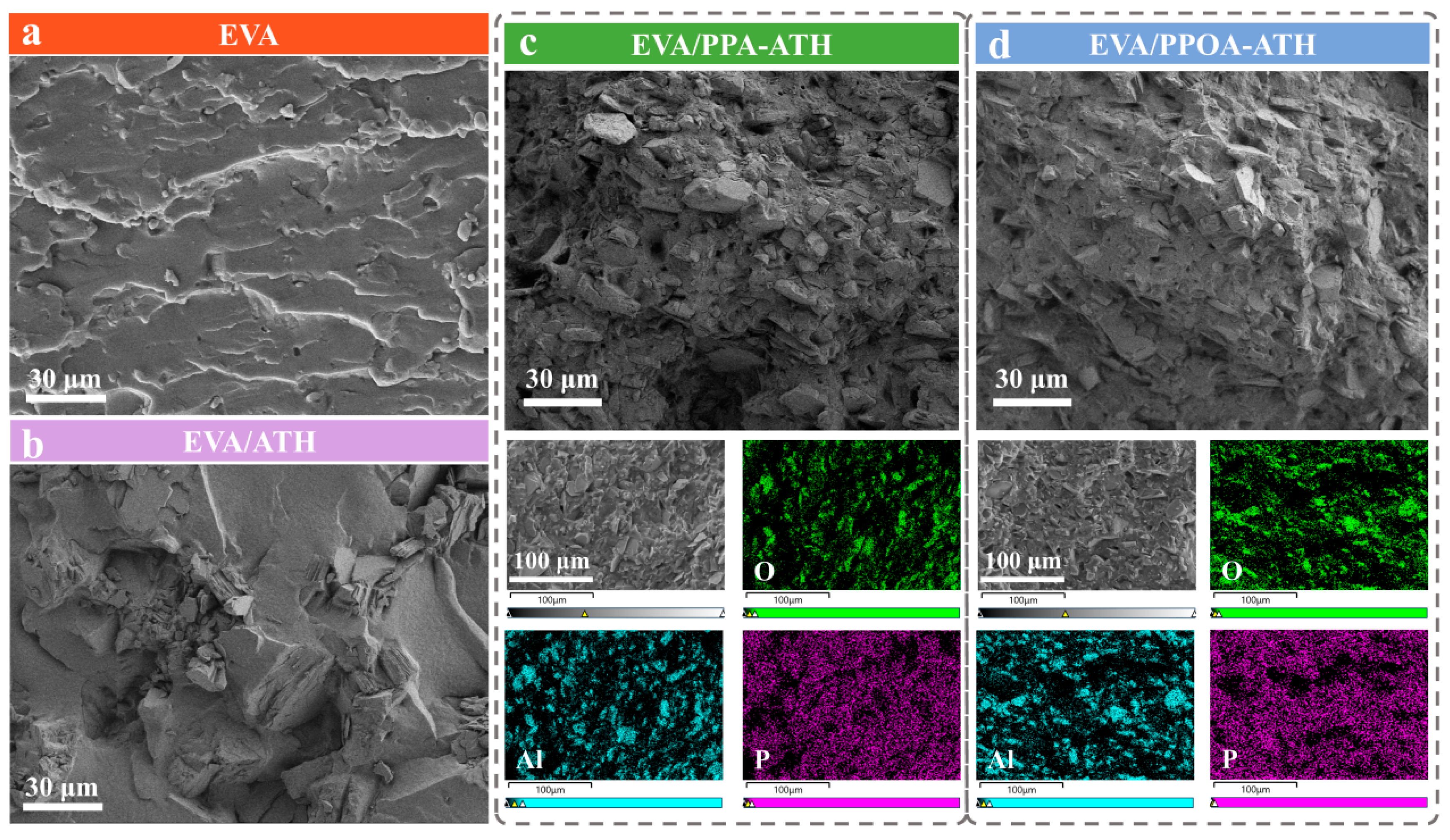 Materials 18 00984 g006