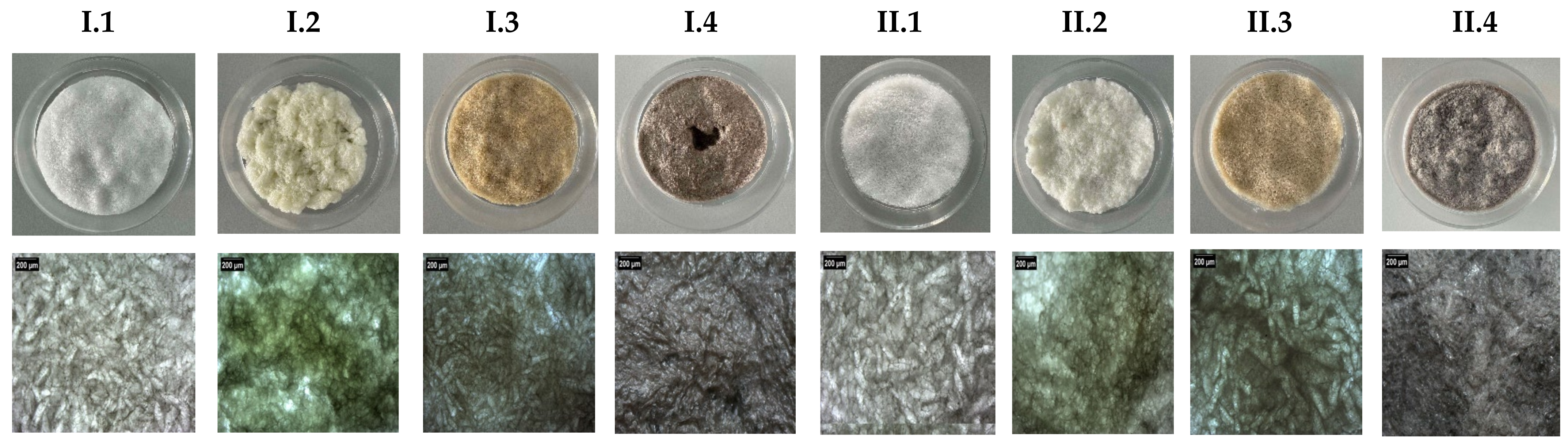 Materials 18 00998 g002