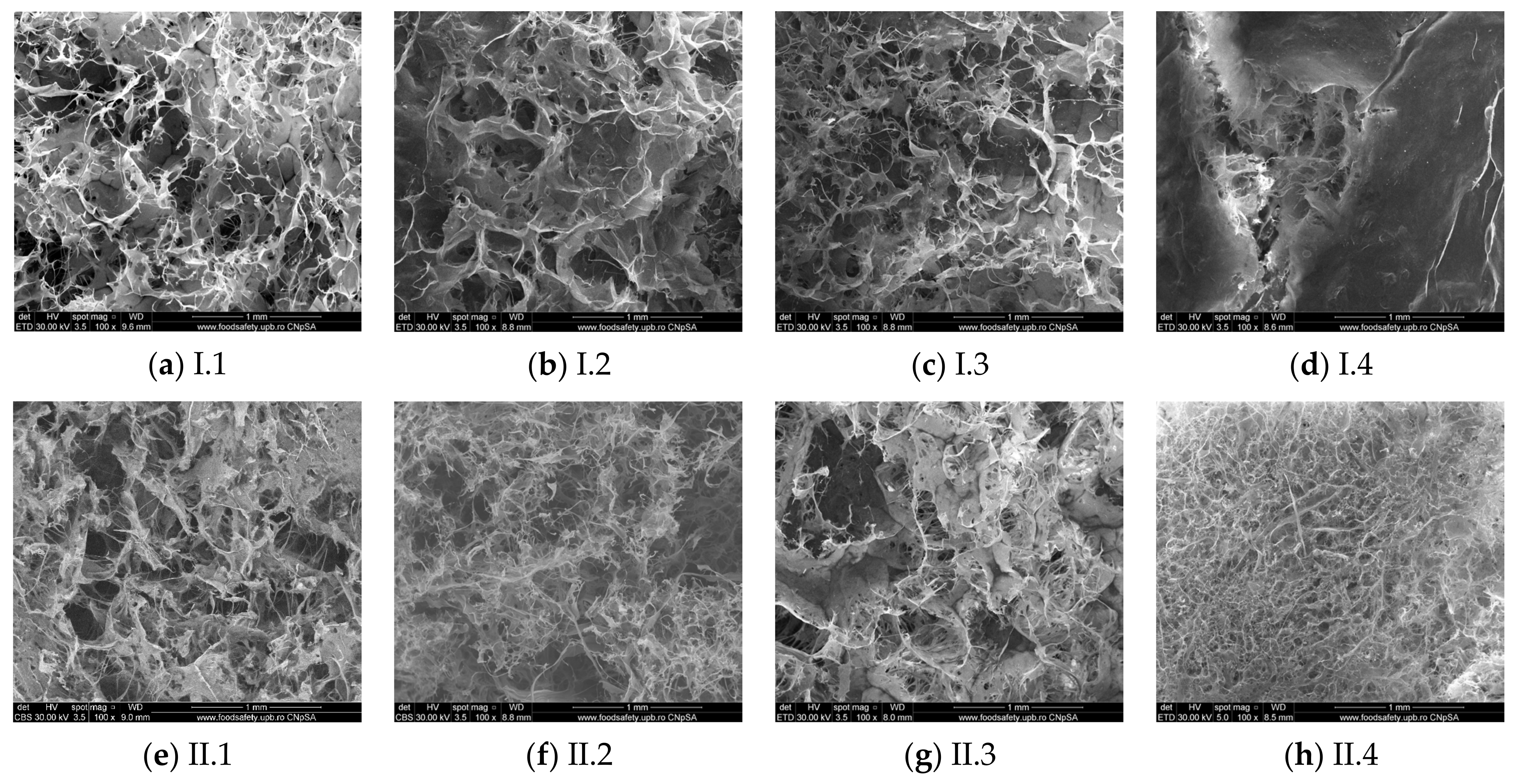 Materials 18 00998 g005