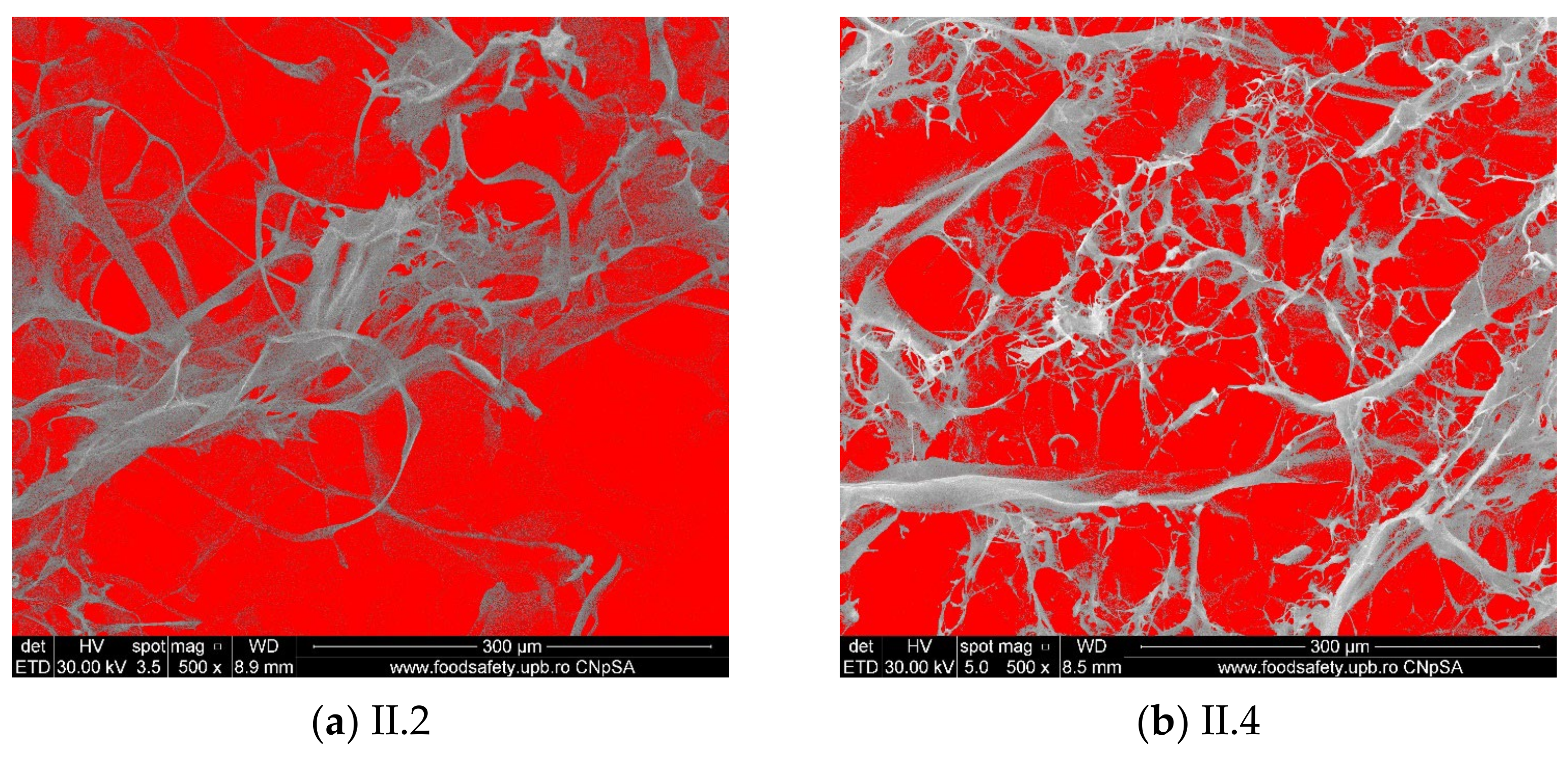 Materials 18 00998 g006