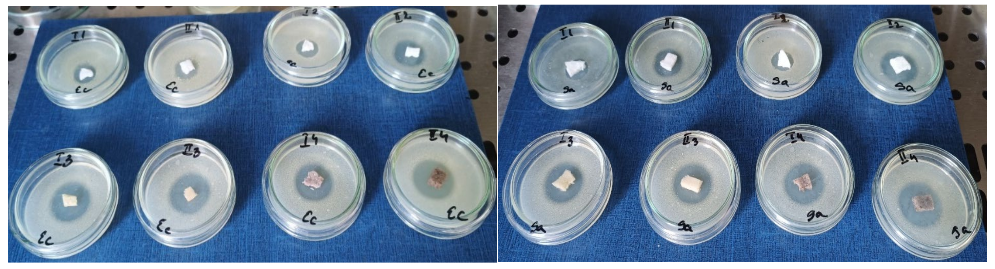 Materials 18 00998 g014